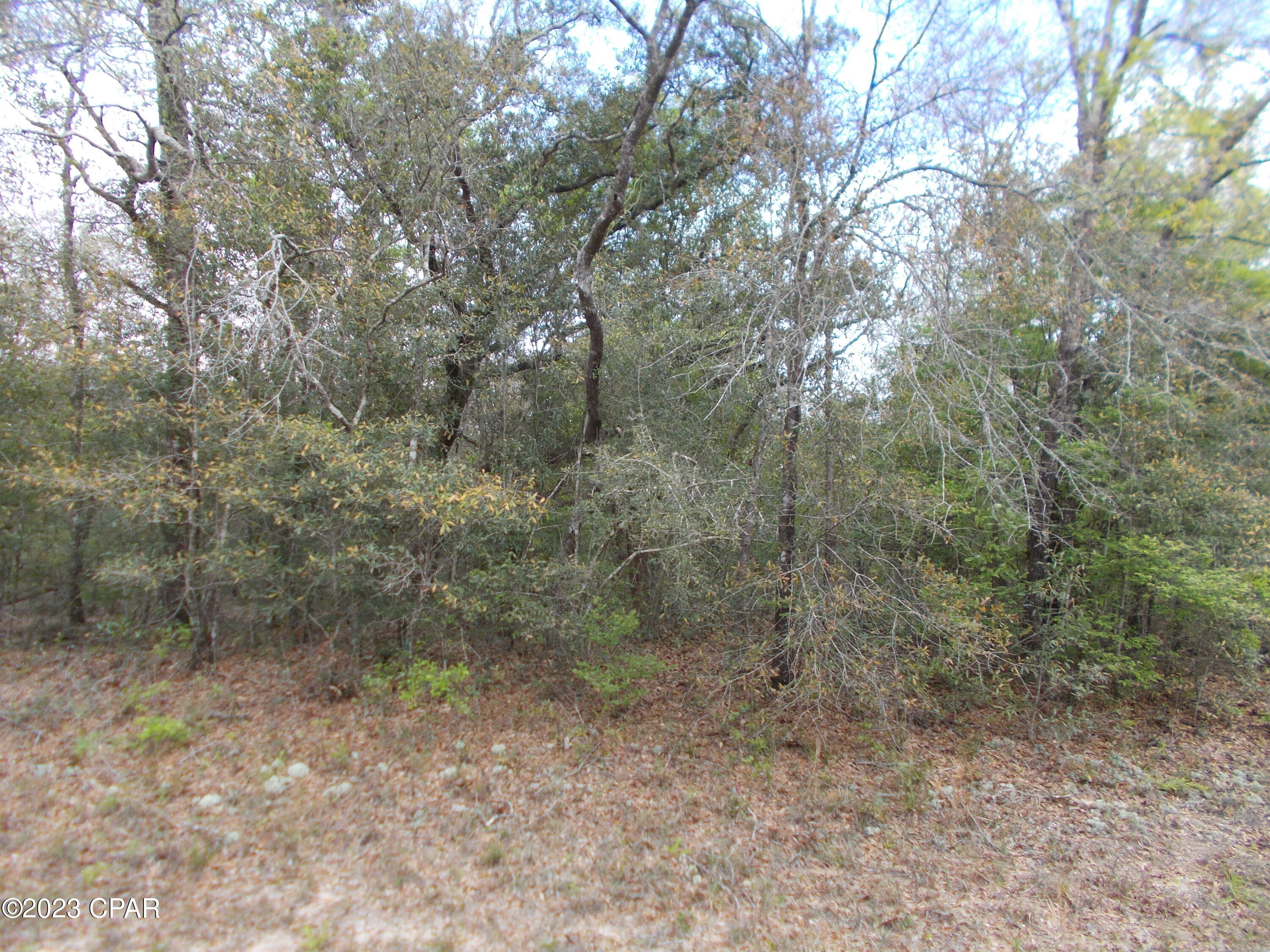 Sunny Hills Unit 1 - Land