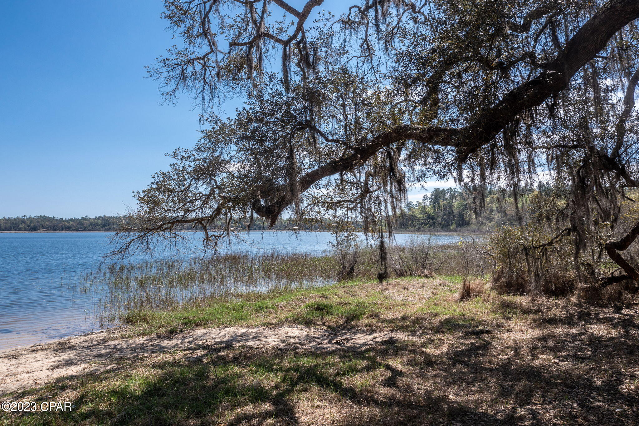 Porter Pond - Land