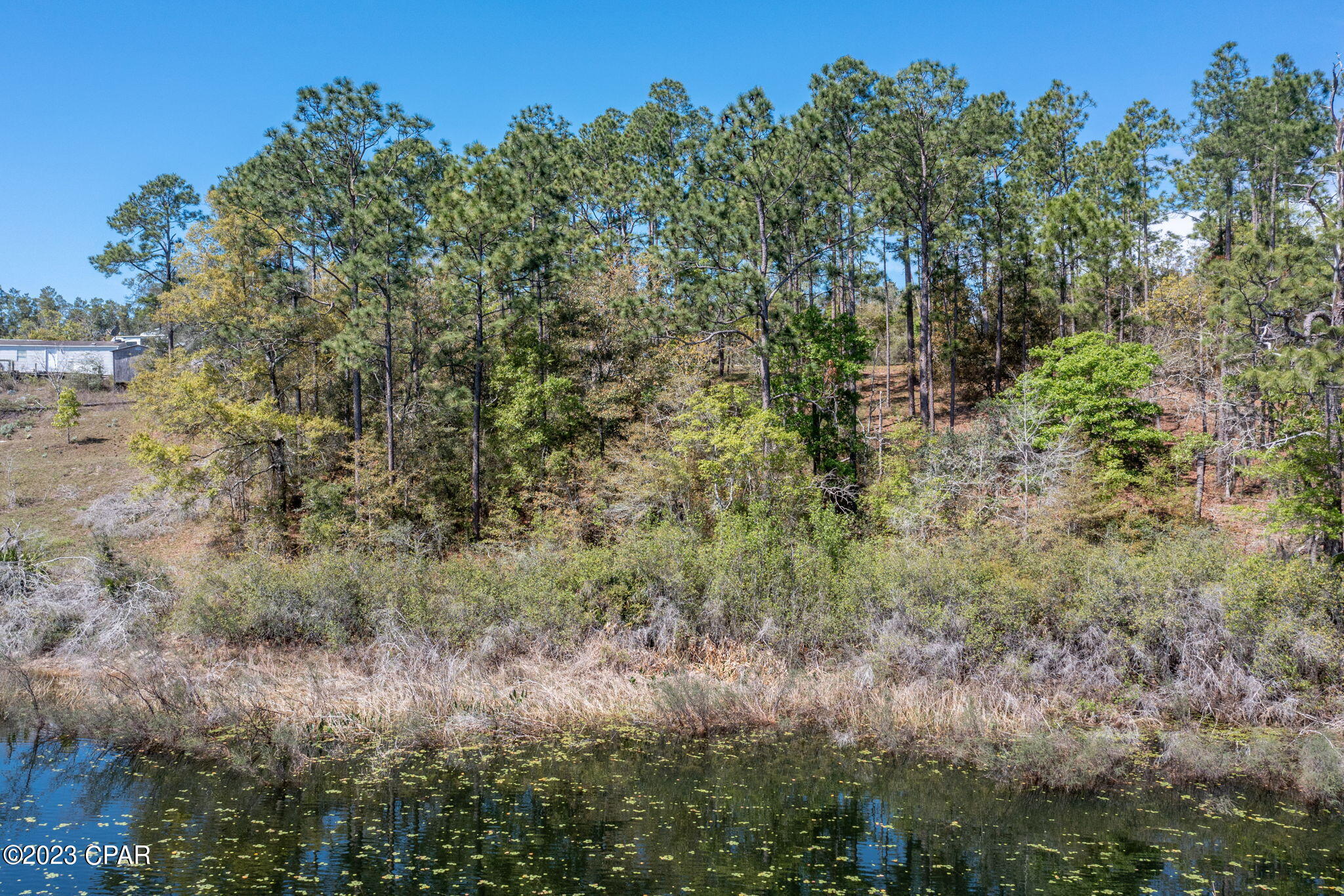 Porter Pond - Land