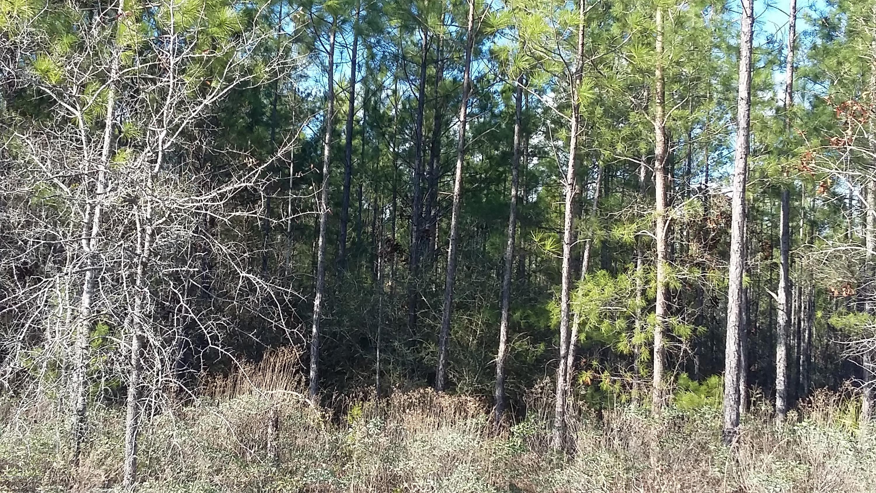 Nice wooded vacant lot in Fountain.