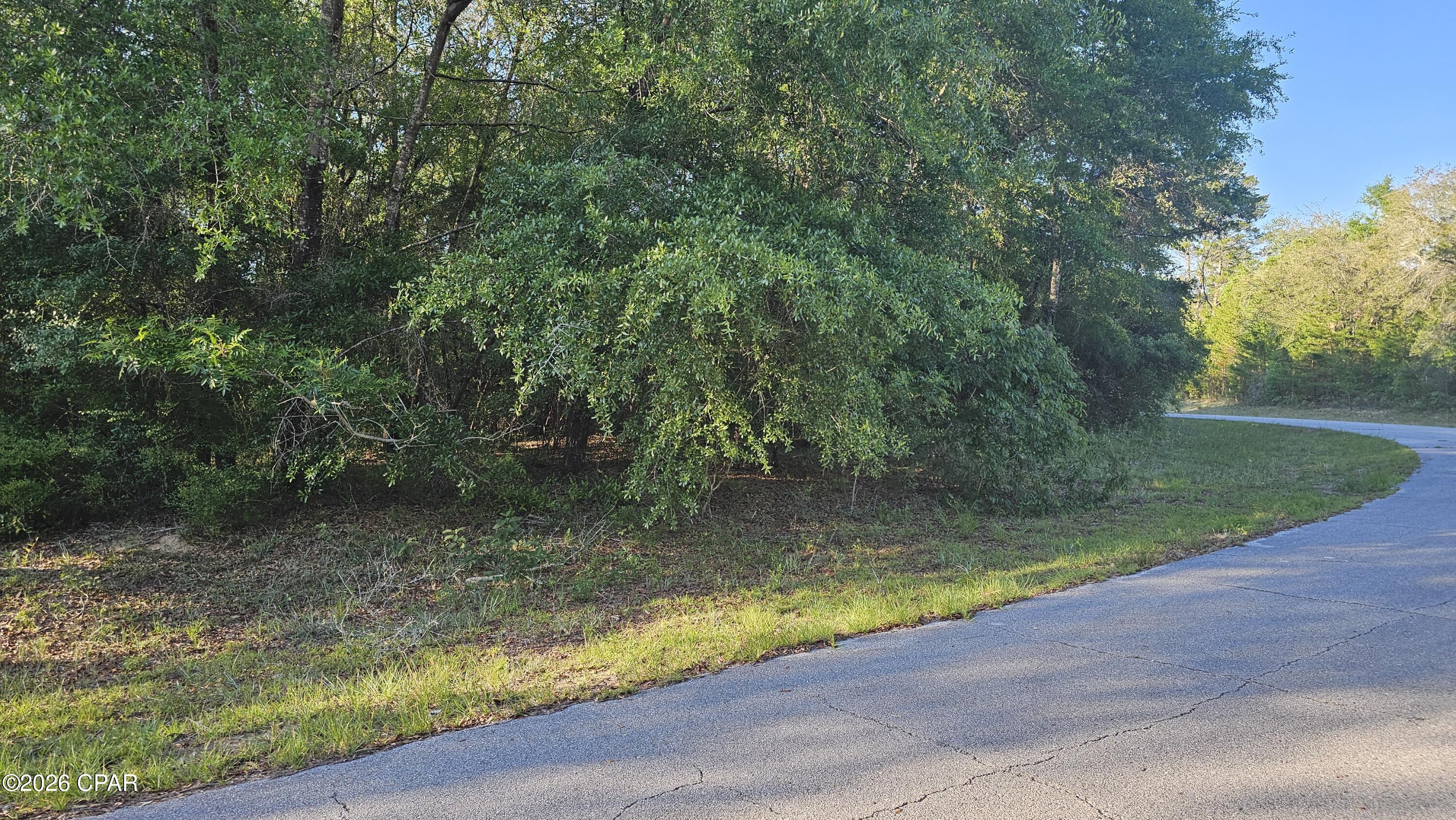 Great over-sized lot in desirable Sunny Hills Unit 1! This lot has power, water and a very nicely paved road. Right here in growing Sunny Hills, we have a country library, Wilder Skate Park with pavilion, playground, pickle ball court, not to mention popular Boat Lake Swim & Recreation Park, Sunny Hills Golf Course, plus tons of fishing ponds and lakes. We're 30 minutes from North West FL Beaches Int'l Airport and about 45 to Panama City Beach with out white-sand beaches and emerald green ocean waters and famous Pier Park. Never a lack of fun to be had in the wonderful Florida Panhandle!