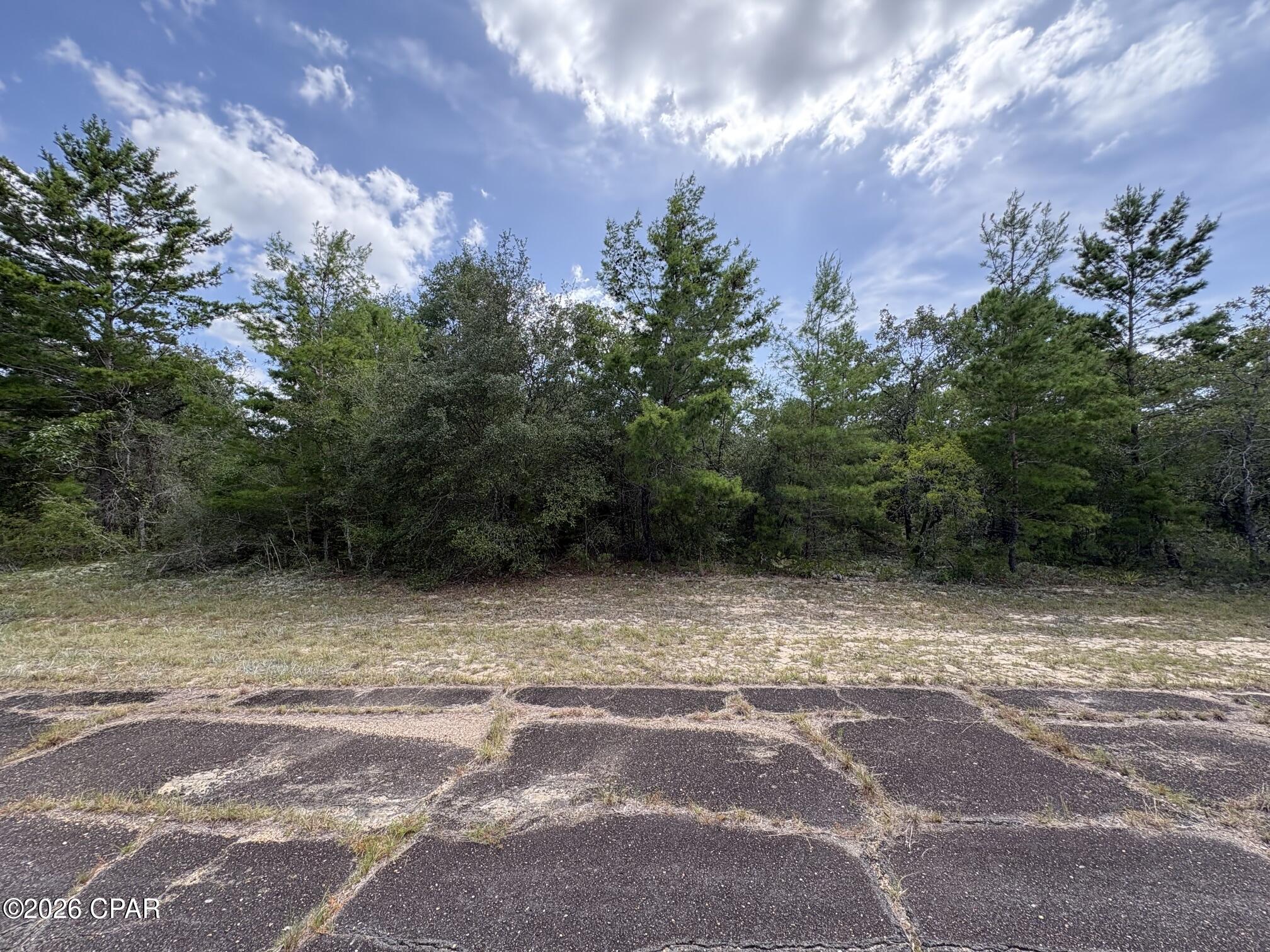 Looking for the perfect place to build your Florida dream home? This beautiful flat, wooded homesite is located on Lot 2 Confetti Place in Unit 7 of the Sunny Hills community in Chipley, Florida. With a level landscape and mature trees, this property offers an ideal building site while providing the privacy and natural beauty buyers are looking for.

A private well and septic system will be required, giving you the flexibility of independent utilities, and electric service is conveniently located just one lot away on the corner of Alhambra Avenue, making future development even more accessible.

Whether you're ready to build your forever home, a weekend retreat, or simply invest in Florida land, this lot offers outstanding value in one of Washington County's growing communities. Enjoy the peaceful surroundings of Sunny Hills while remaining within easy reach of area lakes, outdoor recreation, shopping, and the world-famous white-sand beaches of Florida's Emerald Coast.

Don't miss this opportunity to secure a great building lot with excellent potential in the desirable Sunny Hills community!

*** Investors... LOOK - Same seller has lot 2 Tulsa Place for sale for the same price just one street over !***