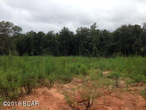 Located just northeast of DeFuniak Springs this 20 acre tract is priced for a quick sale. This lot offers over 660 feet of paved road frontage. Land has recently been partially cleared and would be a great location to build a new home.