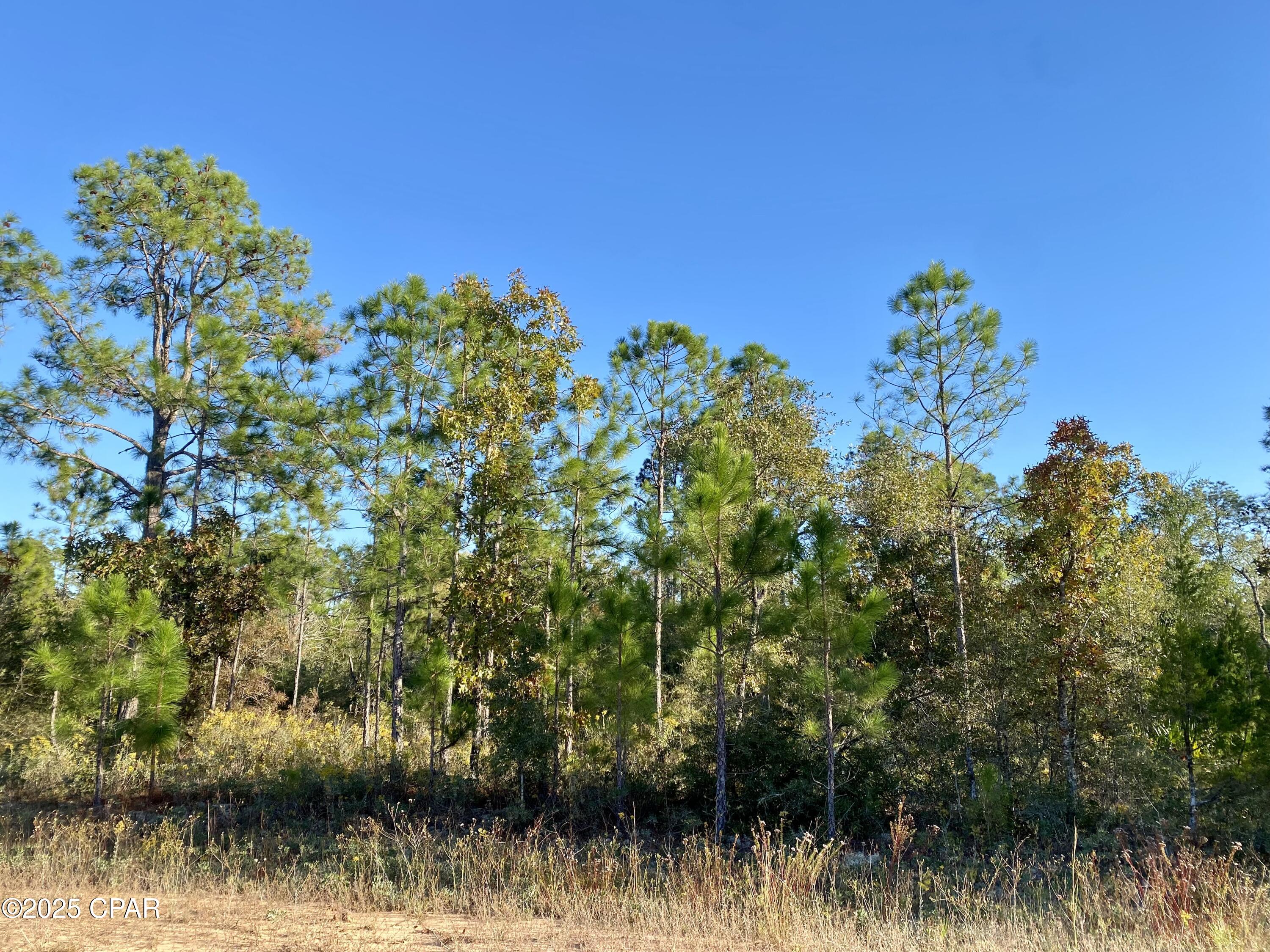 Compass Lake Hills Unit 4 - Land