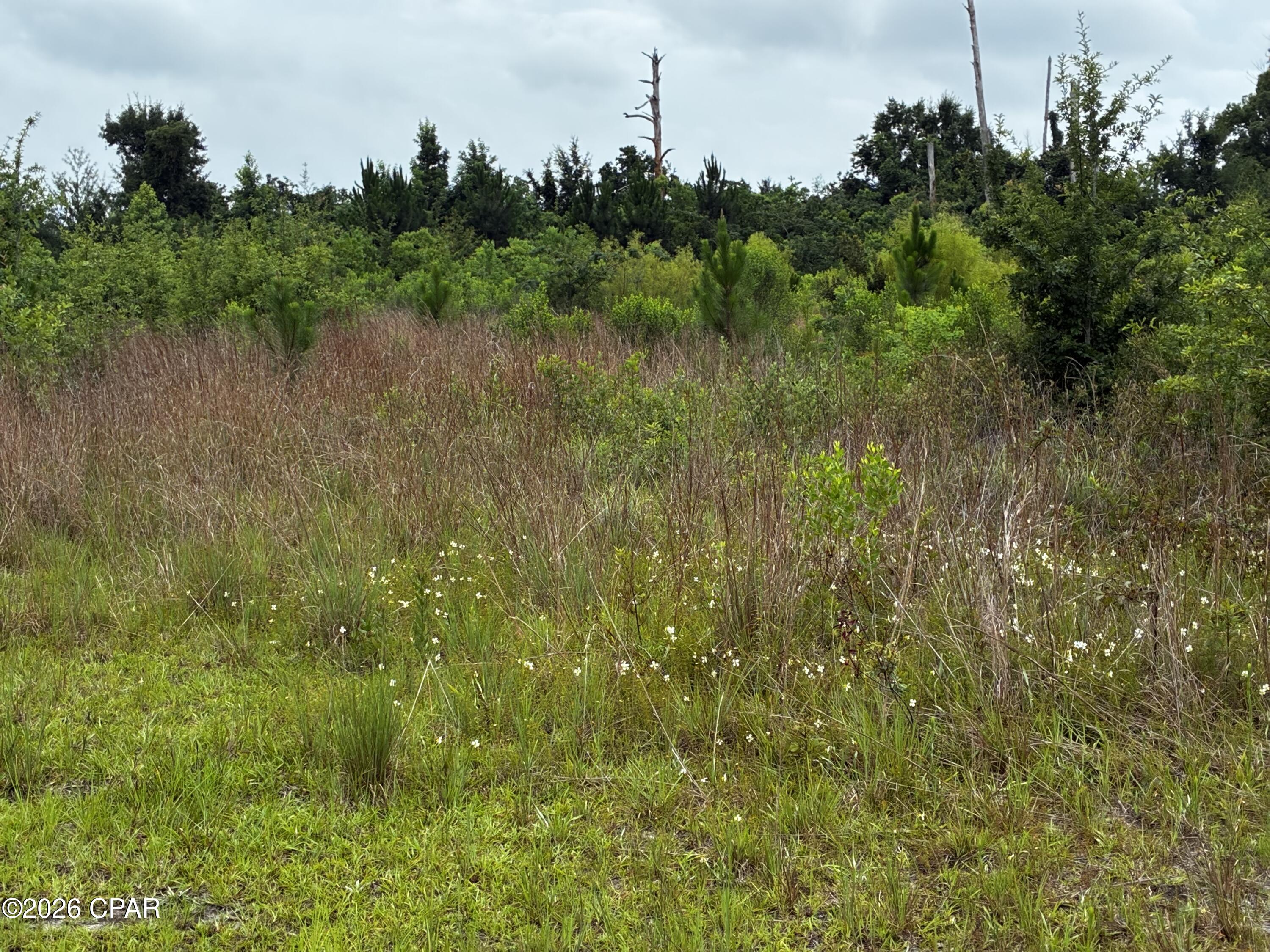 No Named Subdivision - Land