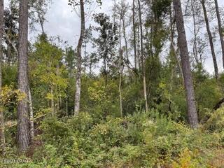 Compass Lake Hills Unit 4 - Land