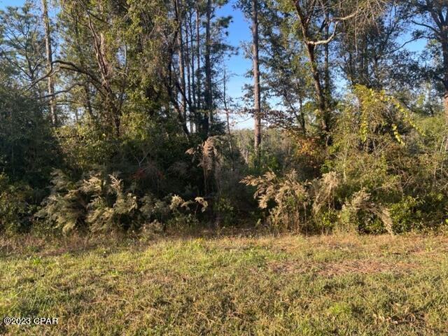 Compass Lake Hills Unit 4 - Land