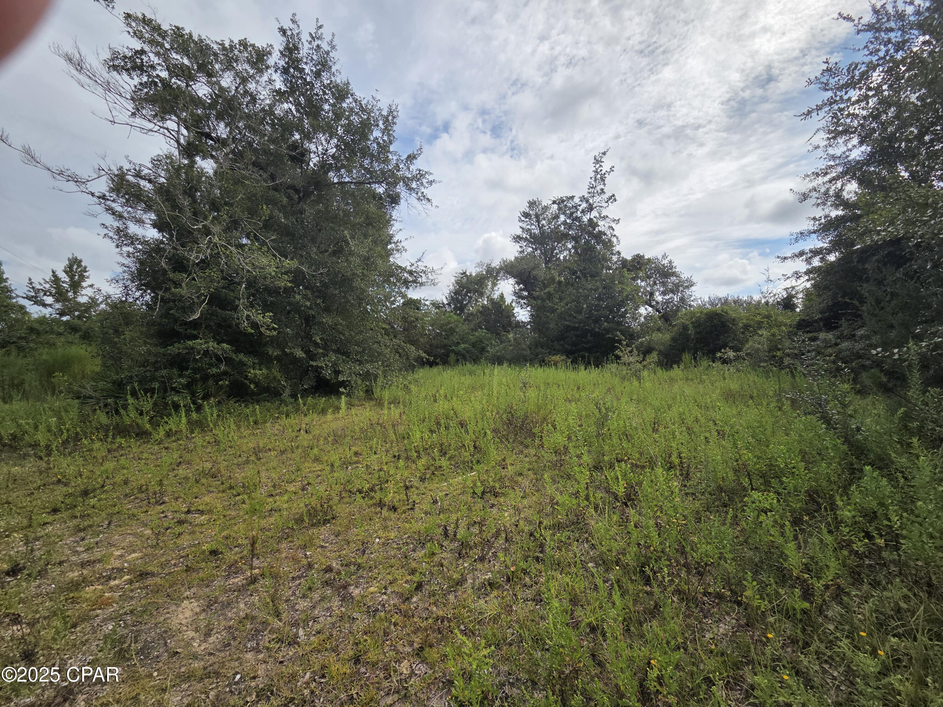 Imagine building your dream home on this beautiful 1.86 acre lot, perfectly tucked away in a peaceful, naturesque setting off John Pitts Road.  With paved neighborhood roads and a serene creekfront location, you can enjoy the best of both worlds-tranquility and convenience.  

Relax in the natural surroundings, or cast a line from your private dock and catch dinner right in your backyard! Despite its quiet setting, the property is just 15-20 minutes from 23rd Street shopping, both major hospitals, and historic downtown Panama City. 

Lot needs a little clearing but is level and ready.  There is a well on the property that needs a pump and may need repair, a septic tank that needs to be located.

All information is approximate and should be verified by buyers if important.