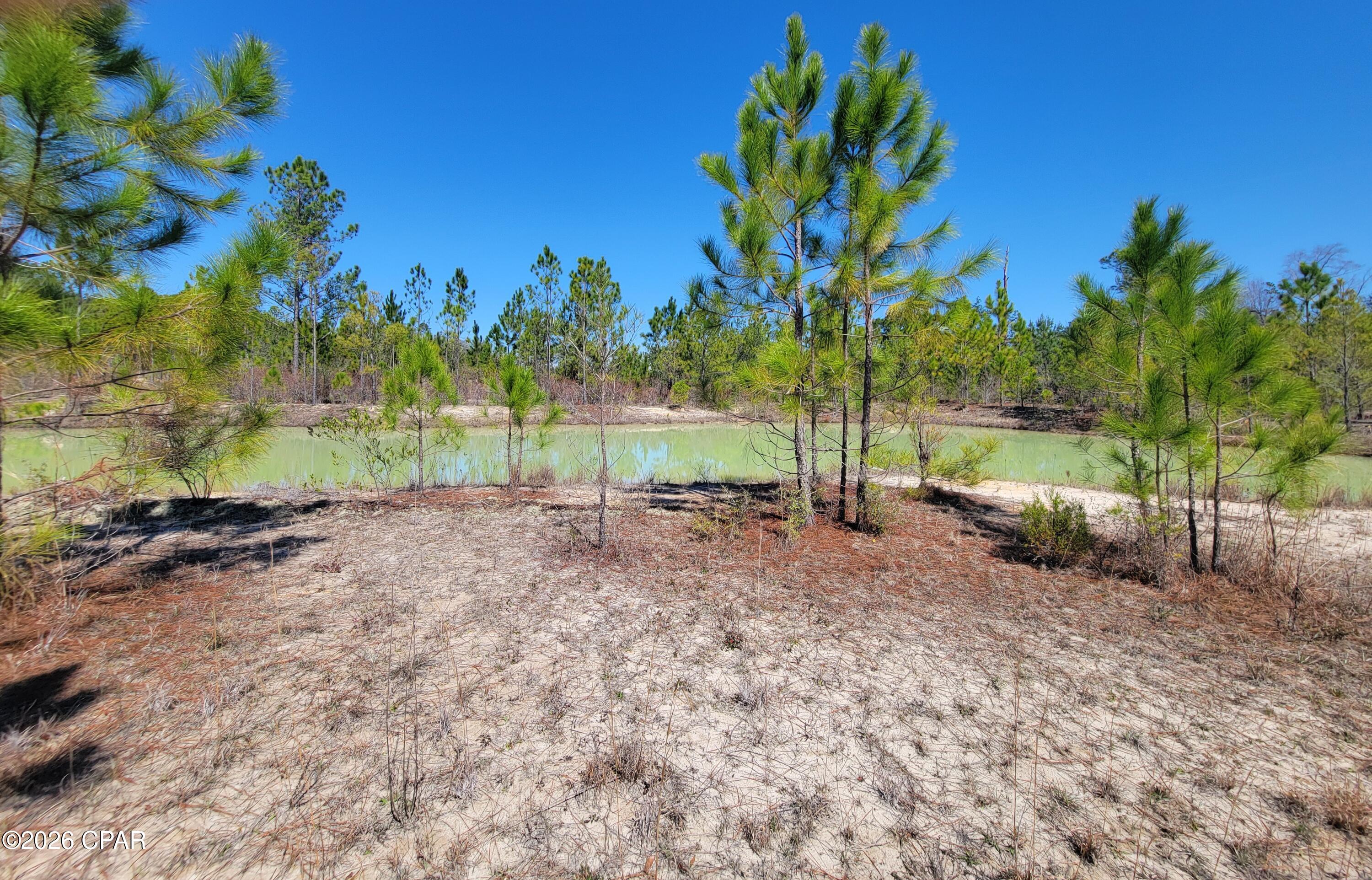 BEAUTIFUL 16-acre property located near Compass Lake, just across Highway 231, offering peaceful country living with distant lake views. Located just half a mile from the public boat ramp at Compass Lake, you'll enjoy easy access to boating, fishing, and outdoor recreation. This absolutely gorgeous tract features four natural spring-fed ponds, established fencing suitable for horse pasture, and trails perfect for riding side-by-sides or enjoying the outdoors. The property offers a rare combination of seclusion and convenience, situated on a paved road while still providing privacy and room to roam.

Zoned AG-2 with no known deed restrictions, the property allows for one dwelling per acre, making it an excellent opportunity for a private estate, family compound, or future development potential.

Enjoy the beauty of North Florida while still being conveniently located just 12 miles from the I-10 Cottondale exit and approximately 45 miles from Panama City Beach.

If you're looking for a versatile piece of land with water features, usable pasture, and stunning natural surroundings, this property is a must-see. Recently surveyed for clearly defined boundaries and added peace of mind.