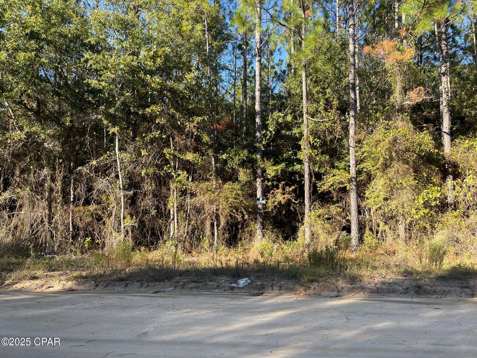Blue Springs Plantation - Land