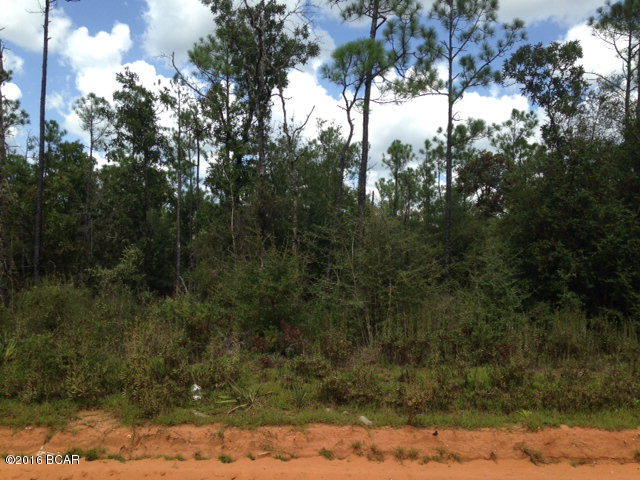 ***OWNER FINANCING AVAILABLE*** NICE TRACT OF LAND LOCATED ON BUCKHORN BLVD THAT WOULD MAKE A GREAT HOMESITE OR INVESTMENT PROPERTY. THIS LOT IS PRIMARILY WOODED AND OFFERS MULTIPLE SITES FOR A MOBILE HOME OR NEW CONSTRUCTION