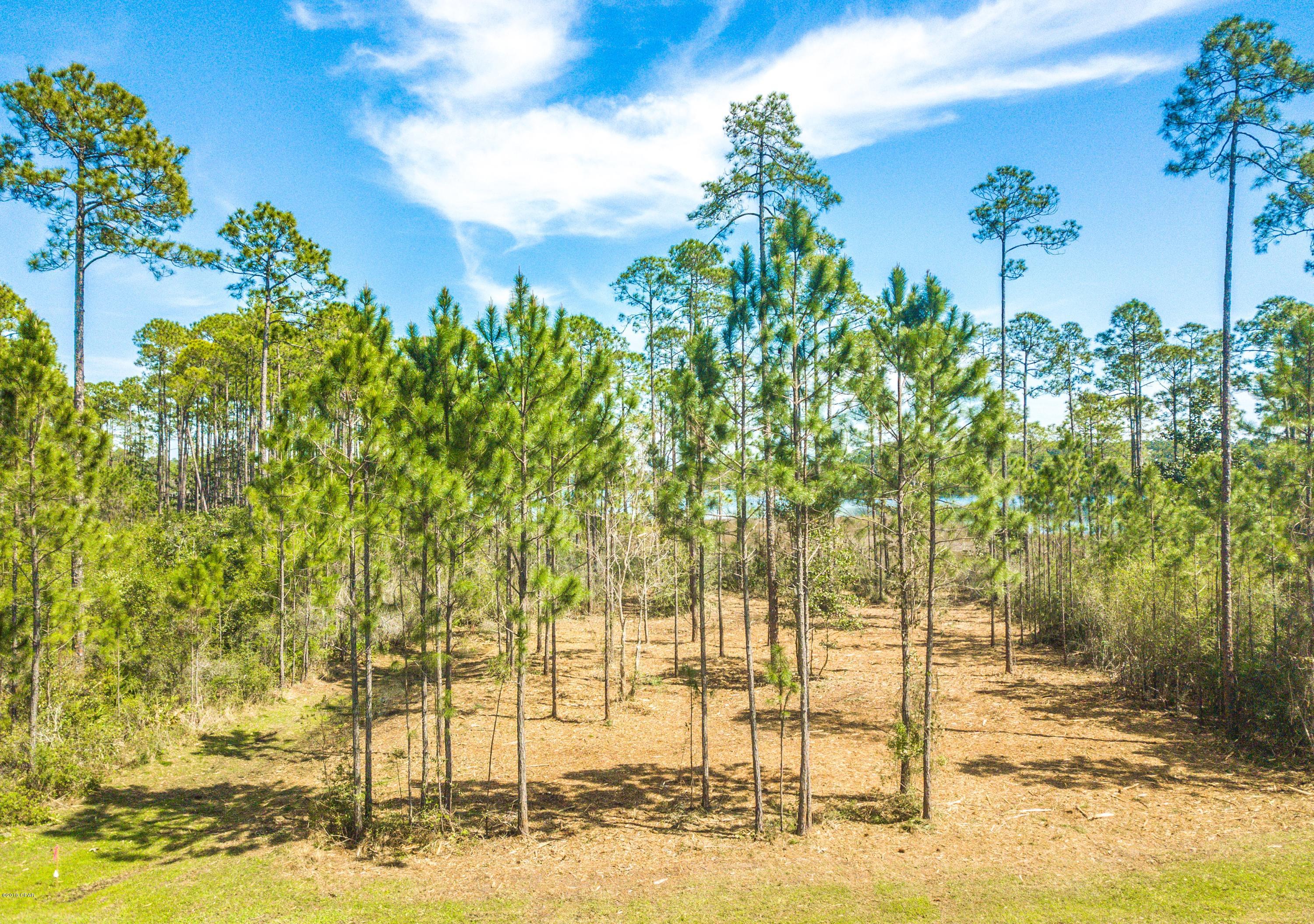 Laird Bayou - Land