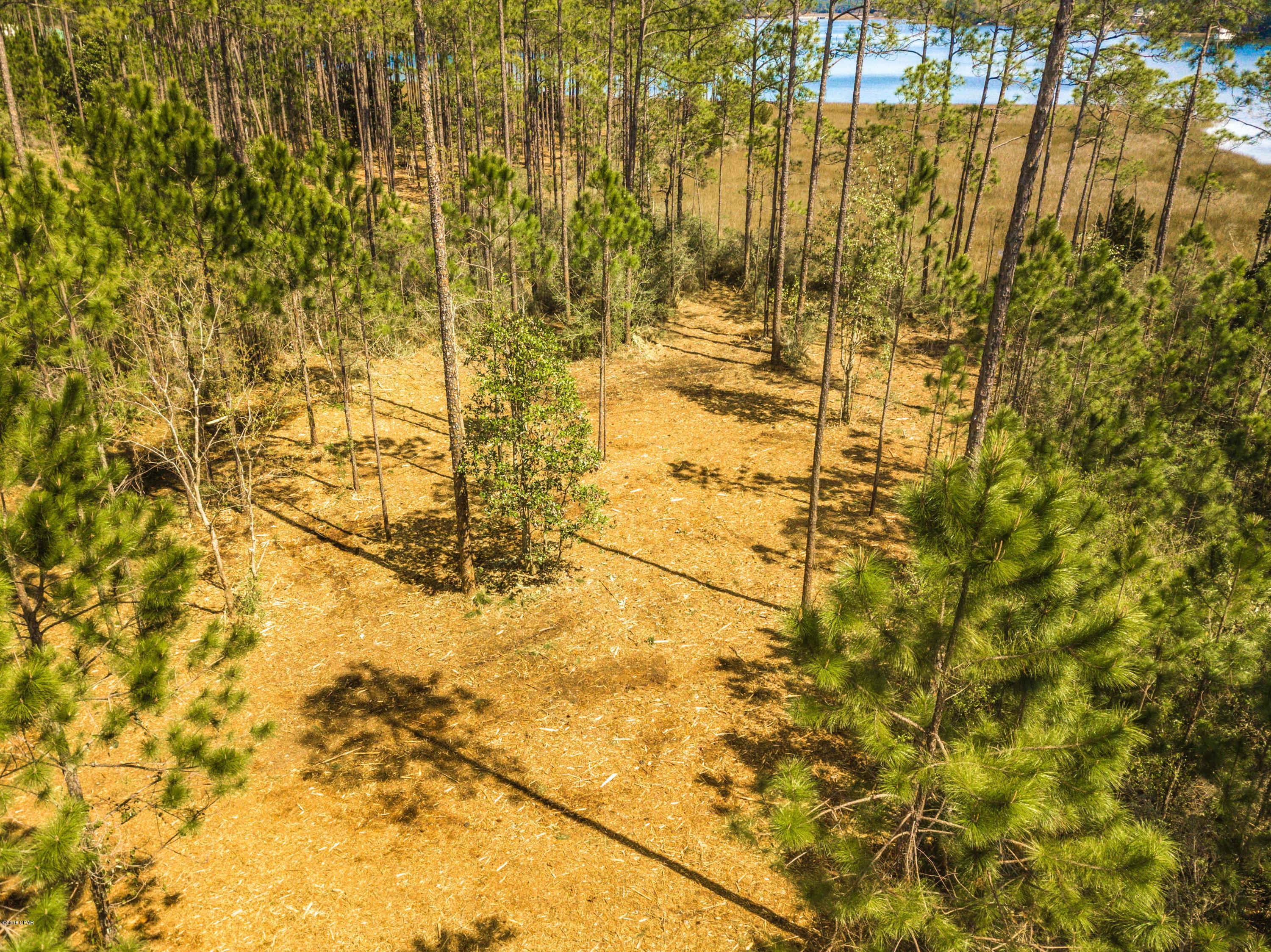 Laird Bayou - Land