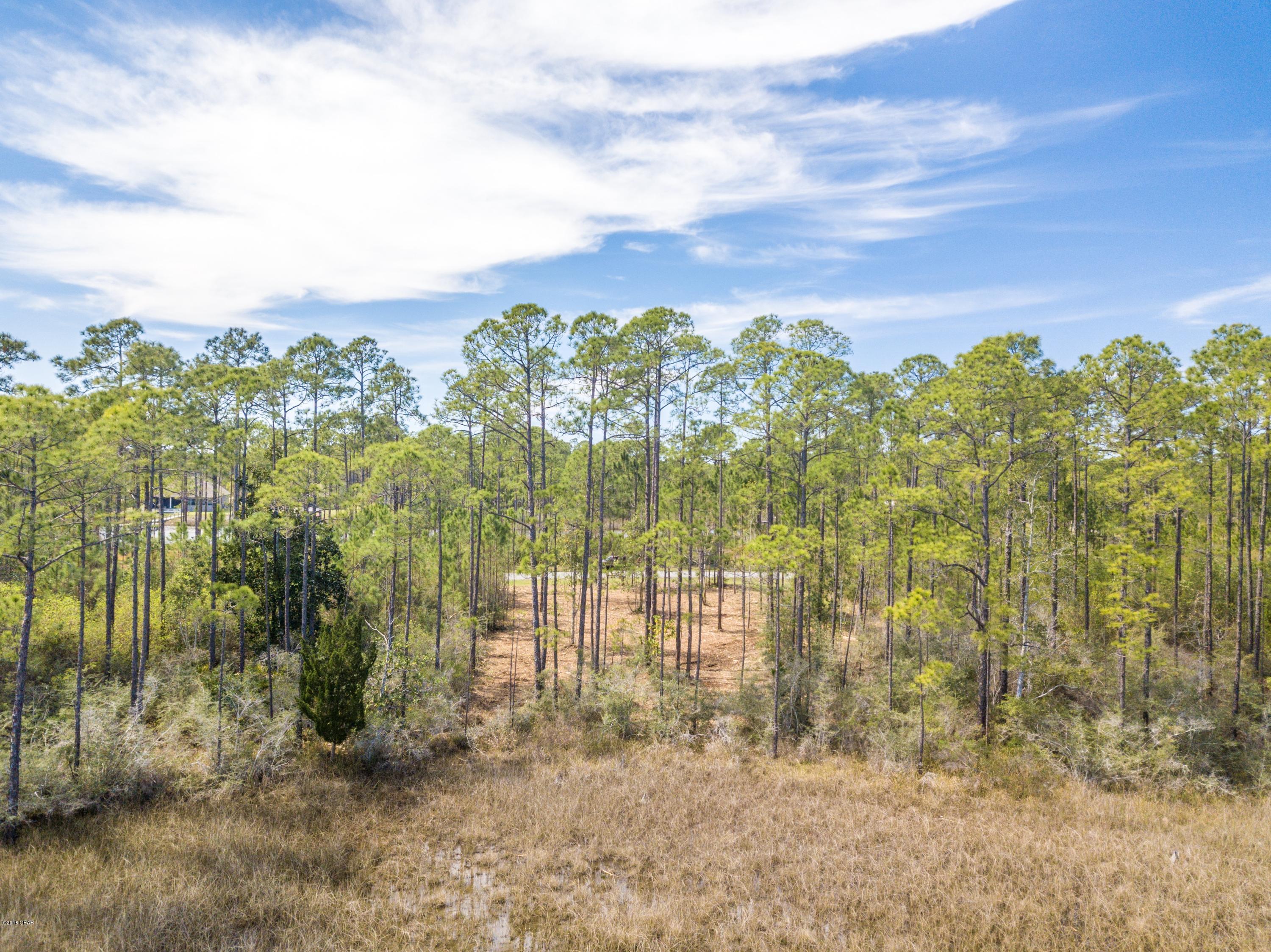 Laird Bayou - Land