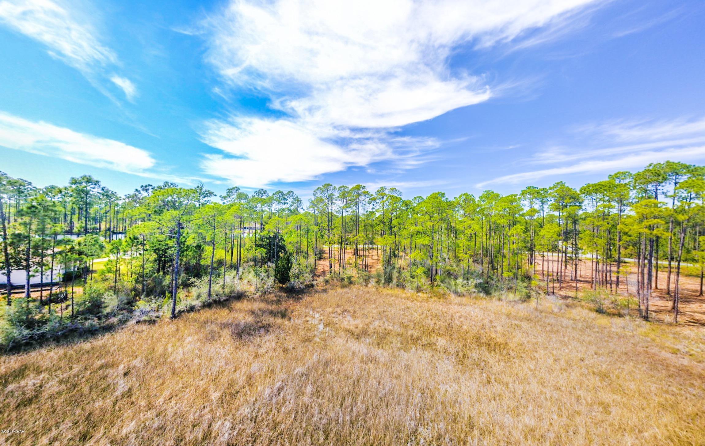 Laird Bayou - Land