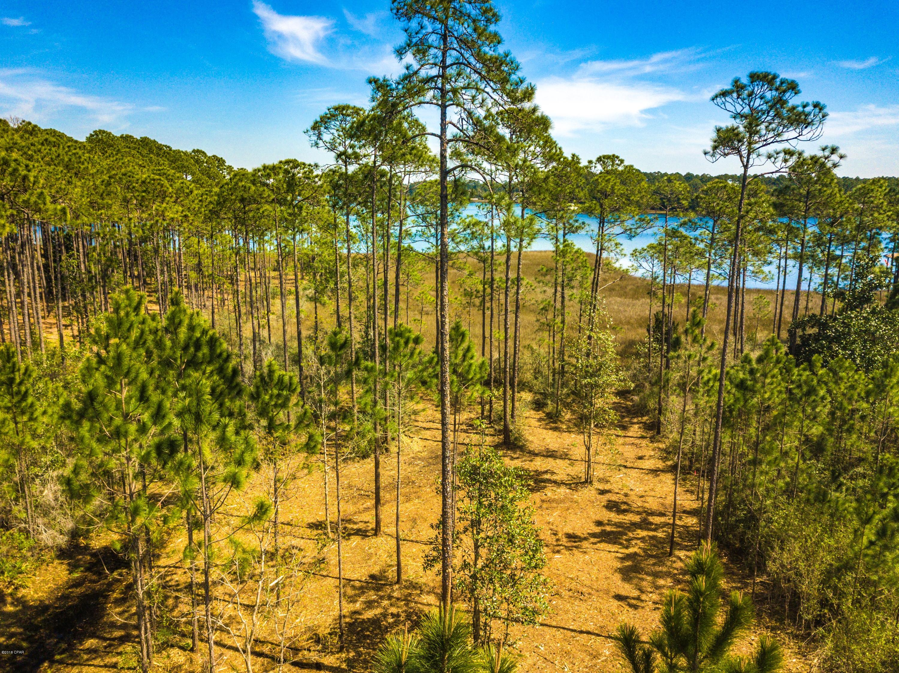 Laird Bayou - Land