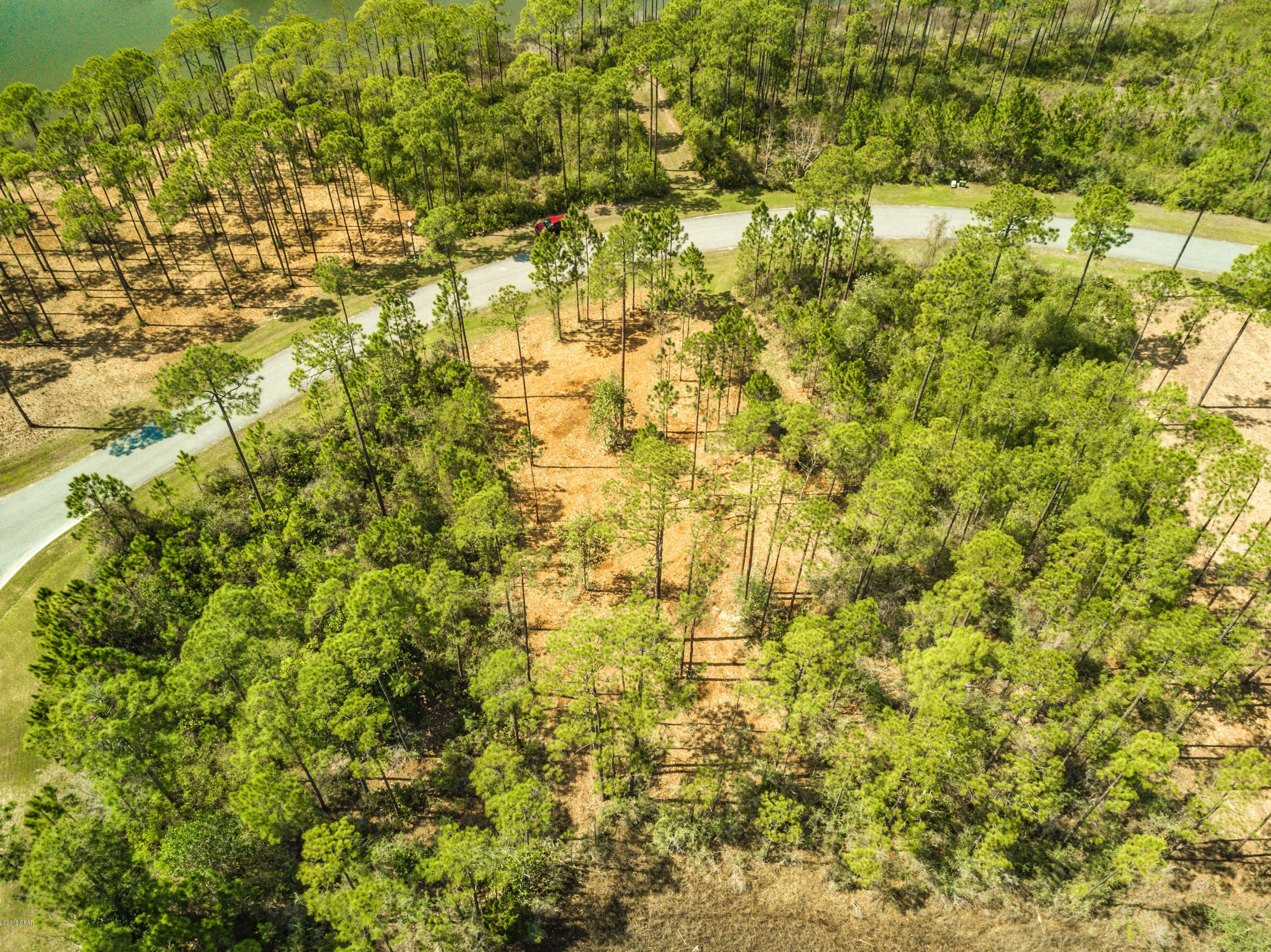 Laird Bayou - Land