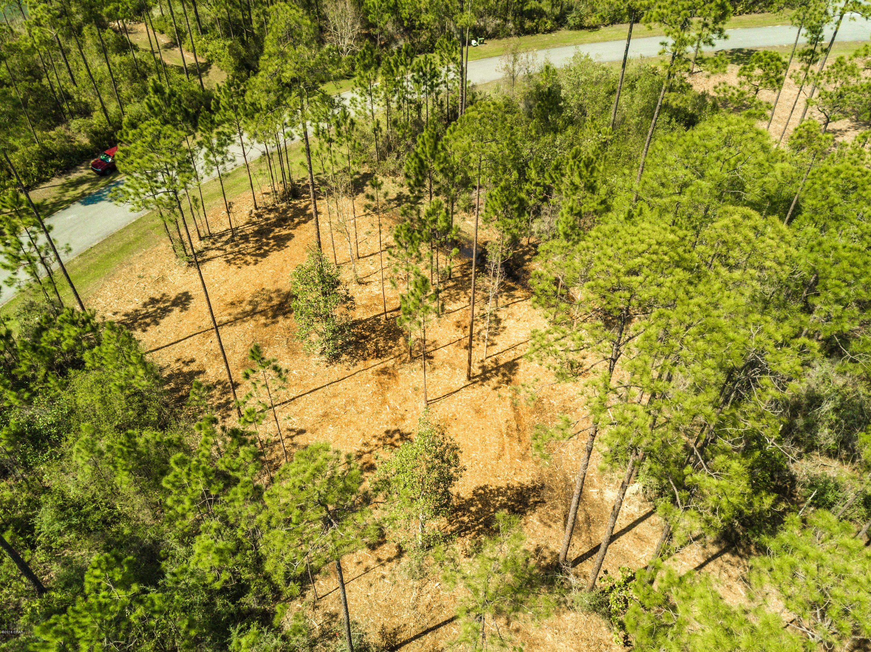 Laird Bayou - Land