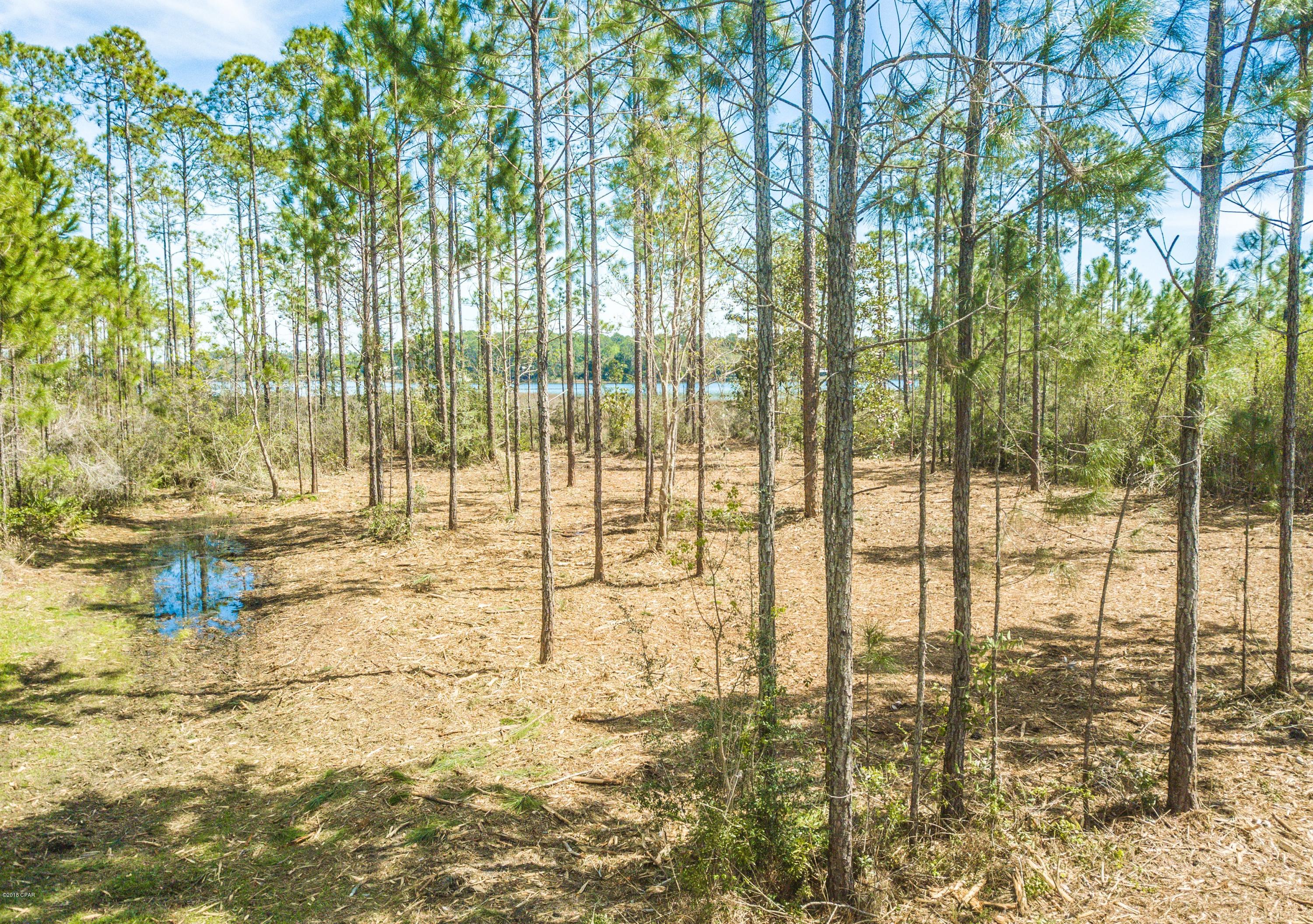 Laird Bayou - Land