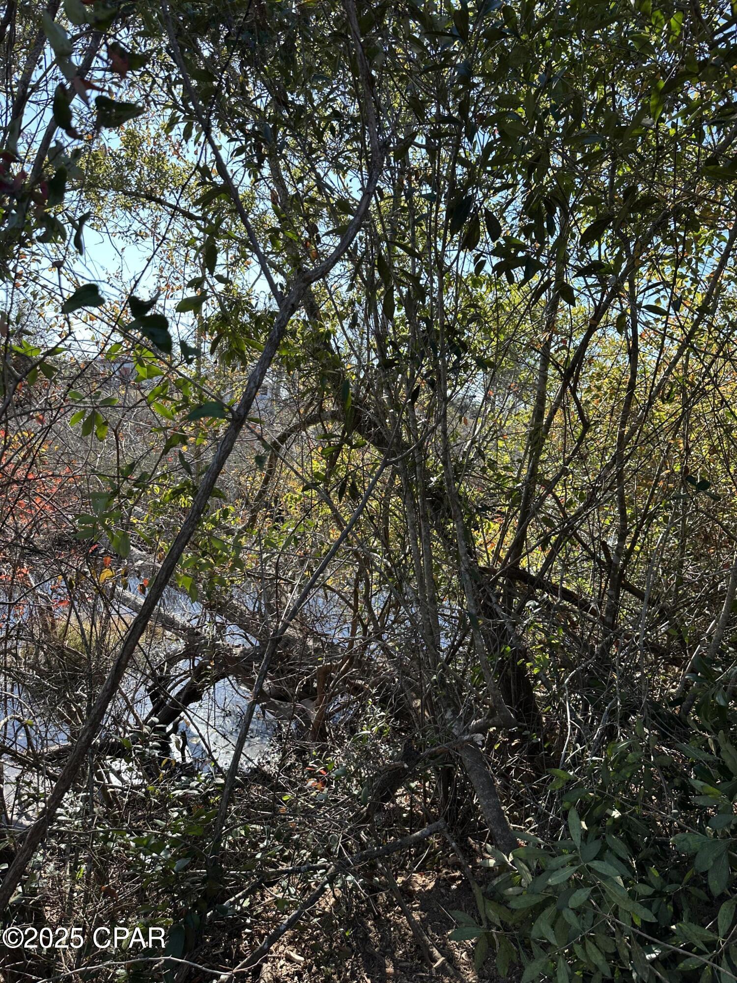 Indian Bluff - Land