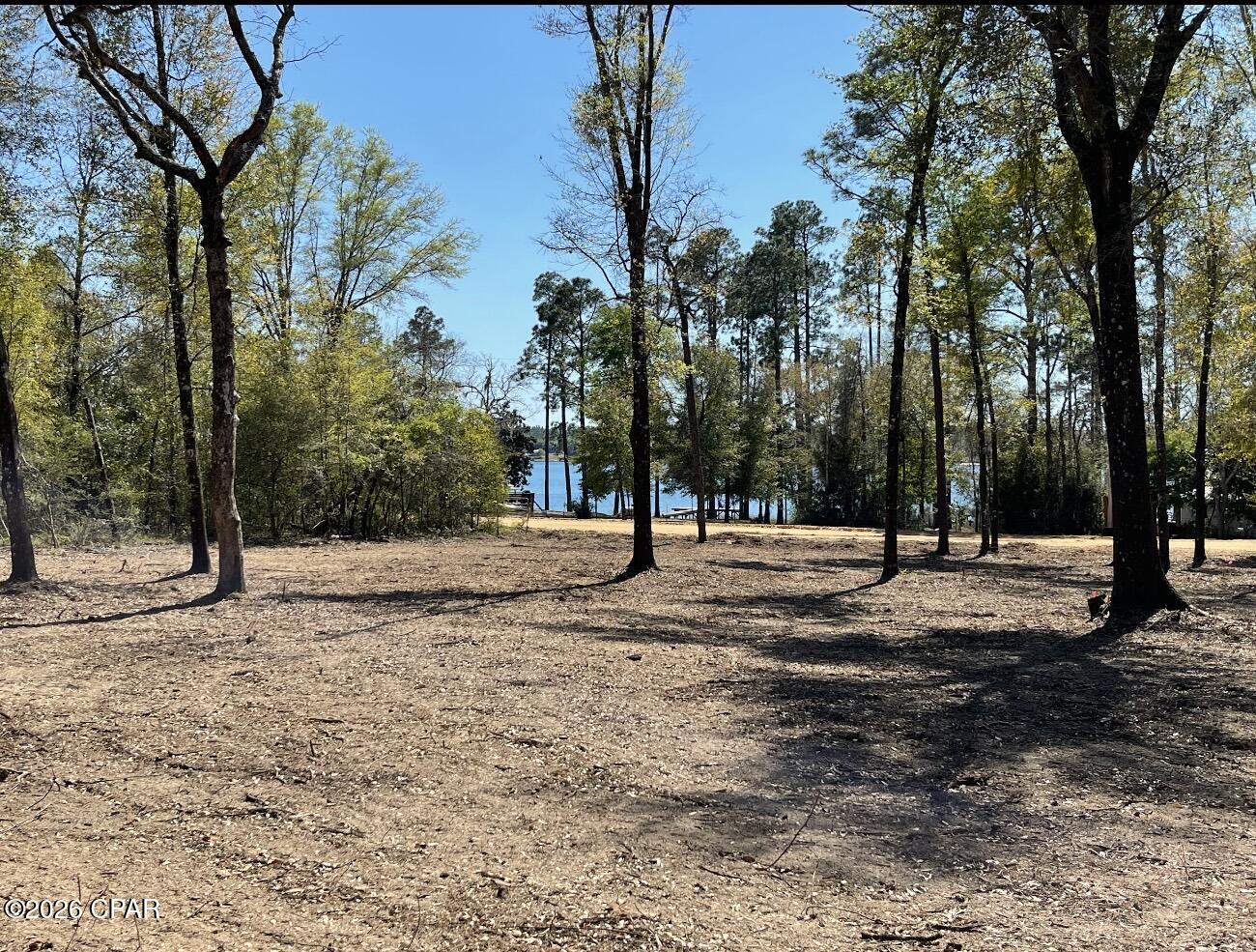 Silver Lake - Land
