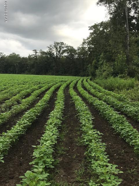 Country living at it's best!  This private 64 acres has approx. 23 acres planted in crops but more can be used.  Wooded areas with nice trees. Wet weather areas.  If you love to hunt, this is the spot for you.  Many deer and wild turkeys! See photos!  Survey has been done already.  Not far from town.  Priced to sell!