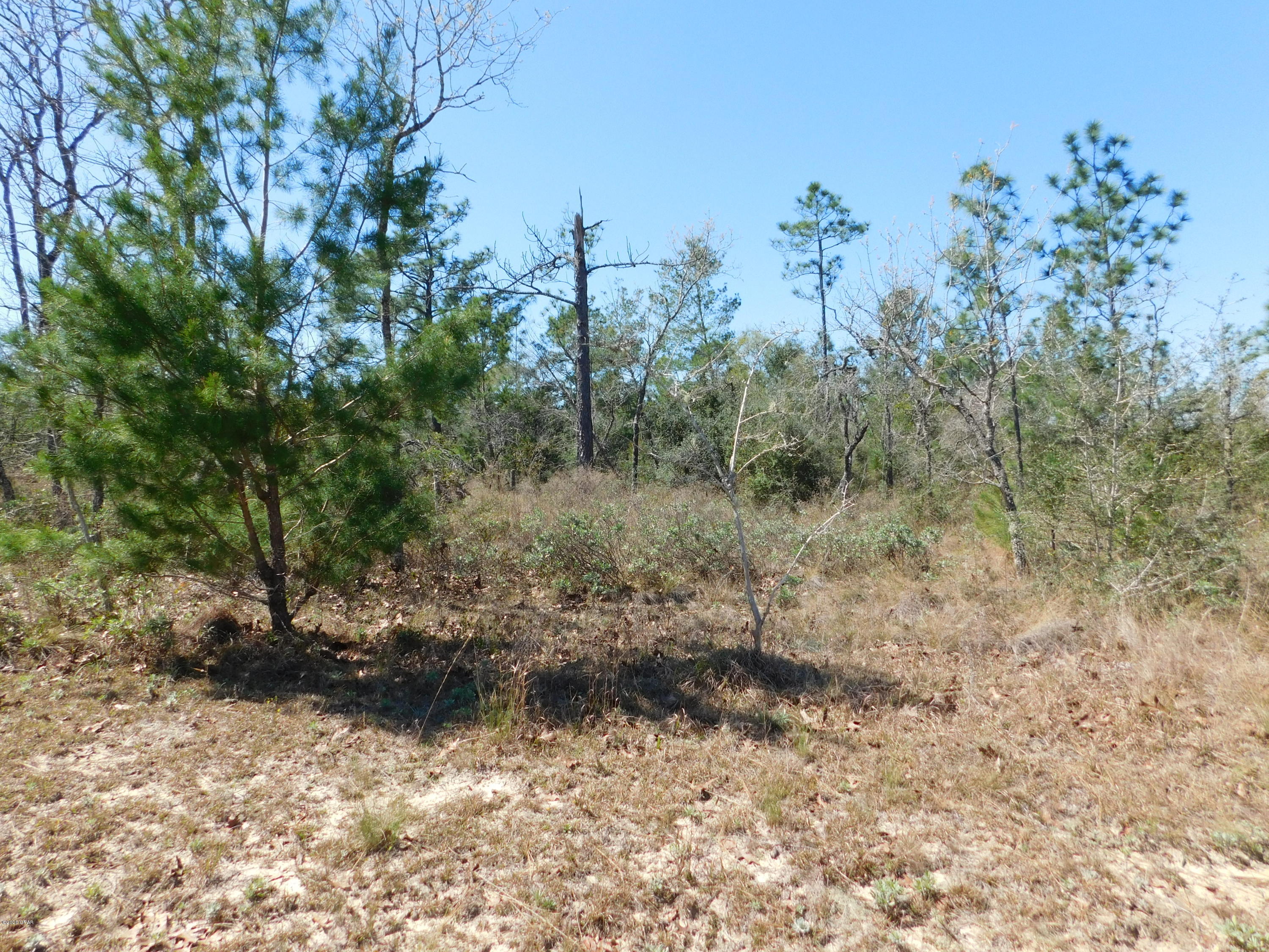 Buckhorn Creek - Residential