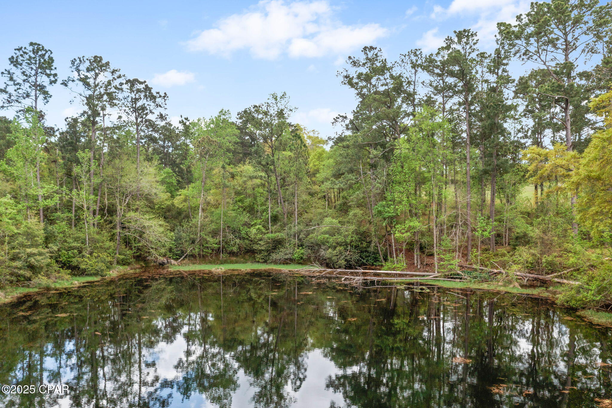 Spring Lakes Estates - Residential