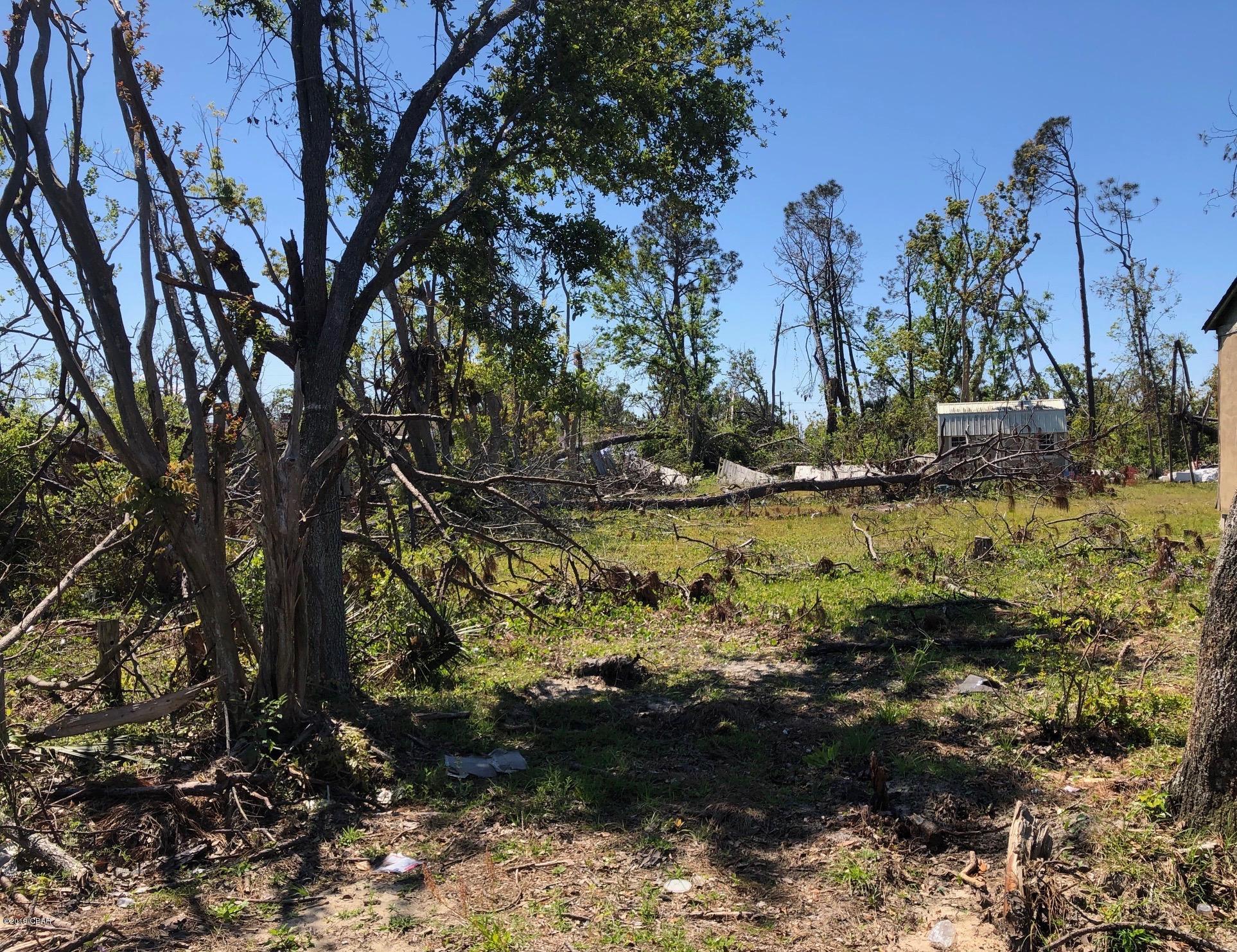 East Rosenwald Heights - Land