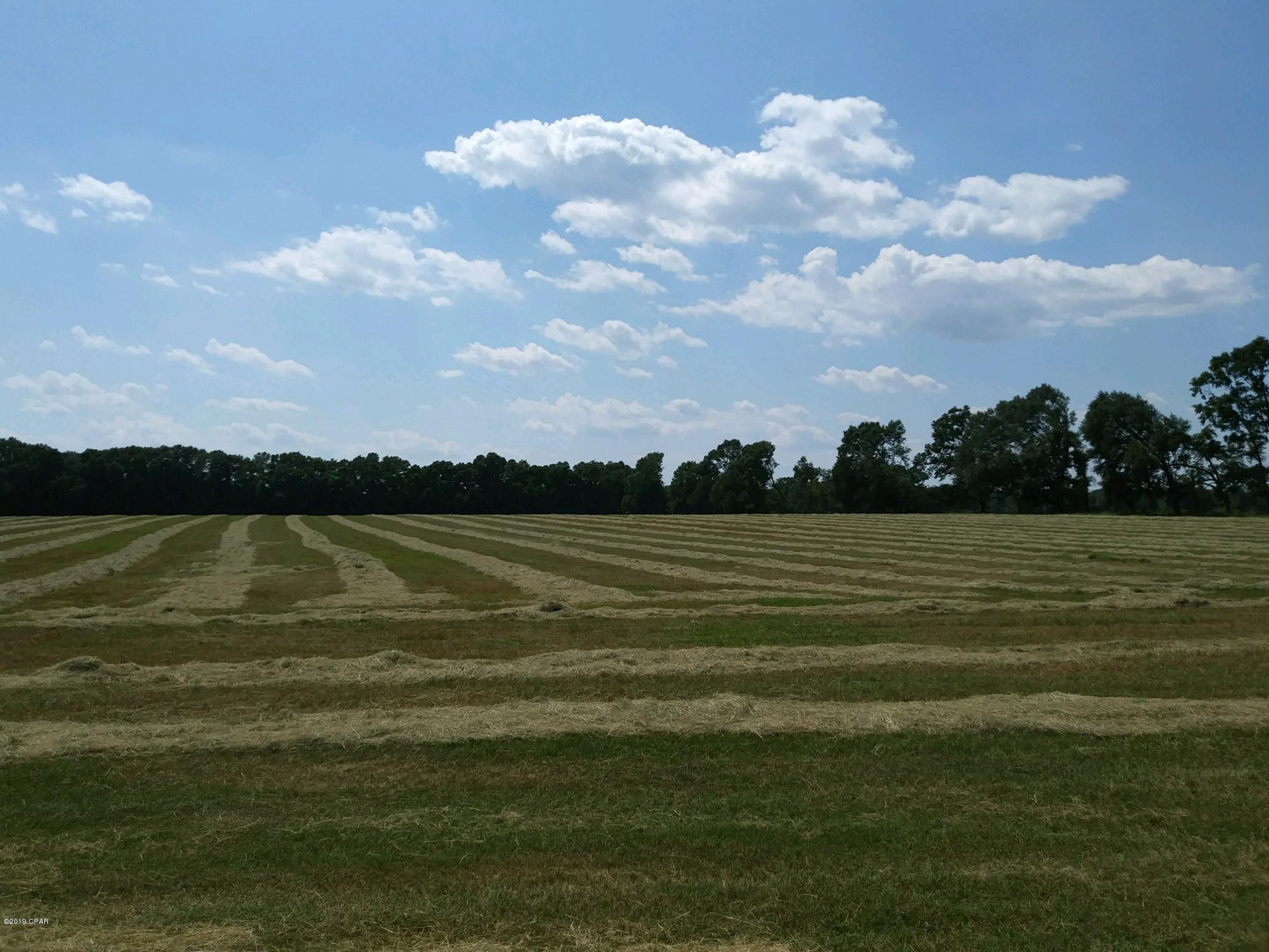 Whether you're looking for a functional farm with an established client base, a secluded home place or just a private block to hunt on, this is it! Tucked away at at the terminus of a county-maintained dead end road, this operational bermuda hay operation has incredible potential. High PSI well, water reel and barn are already put in and a nutritional analysis on the hay is available. Lost timber and looking to reinvest? This is a great way to have REAL yearly income instead of waiting on timber to mature. If you're interested in a home site or hunting property, this is ideal for either. The large pole barn is already there, ready for you to use! The entire parcel is high and dry with approximately 35 acres in established hay. Please, no visits without appointment due to hunting season!