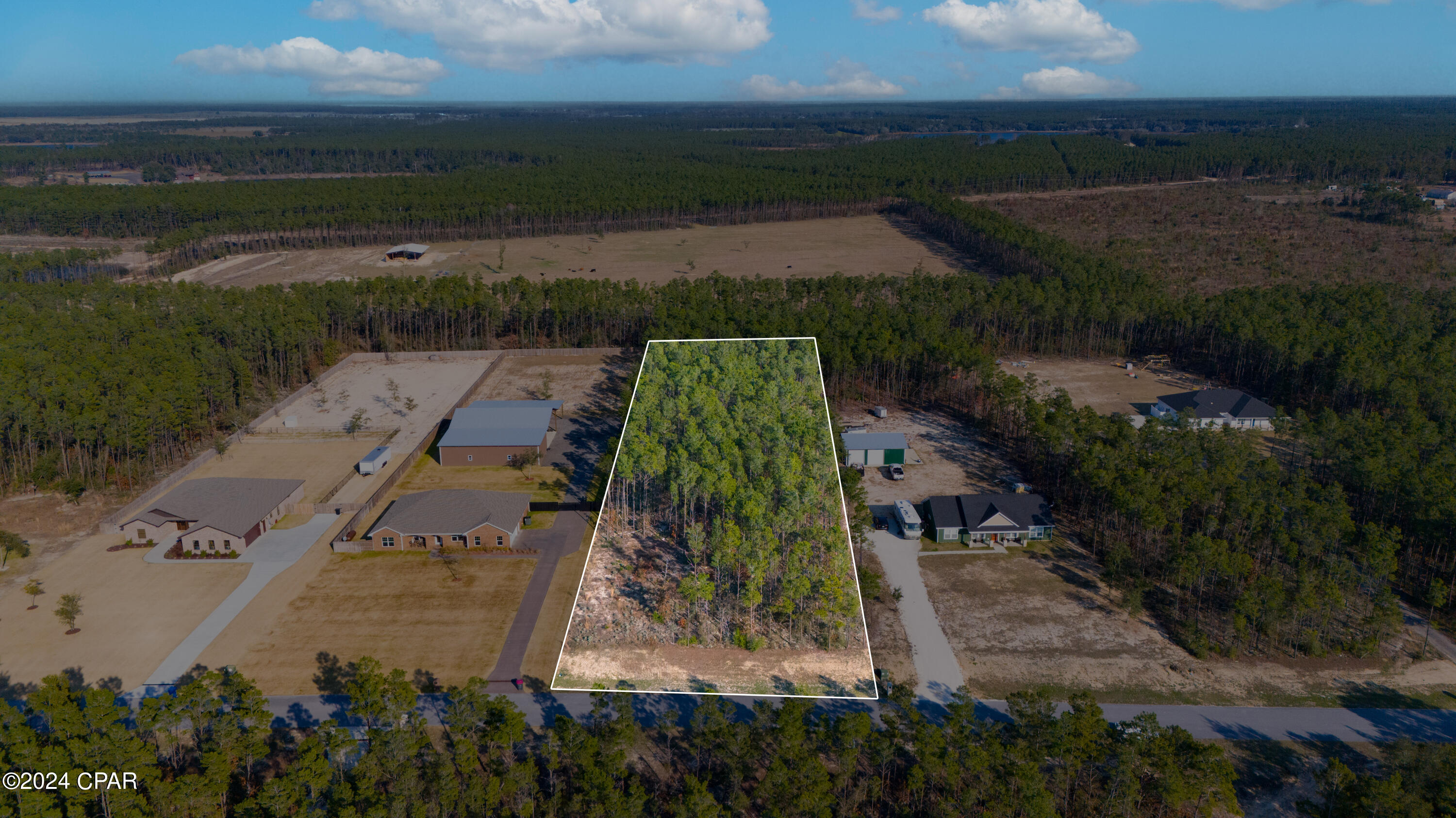 Bream Pond - Land