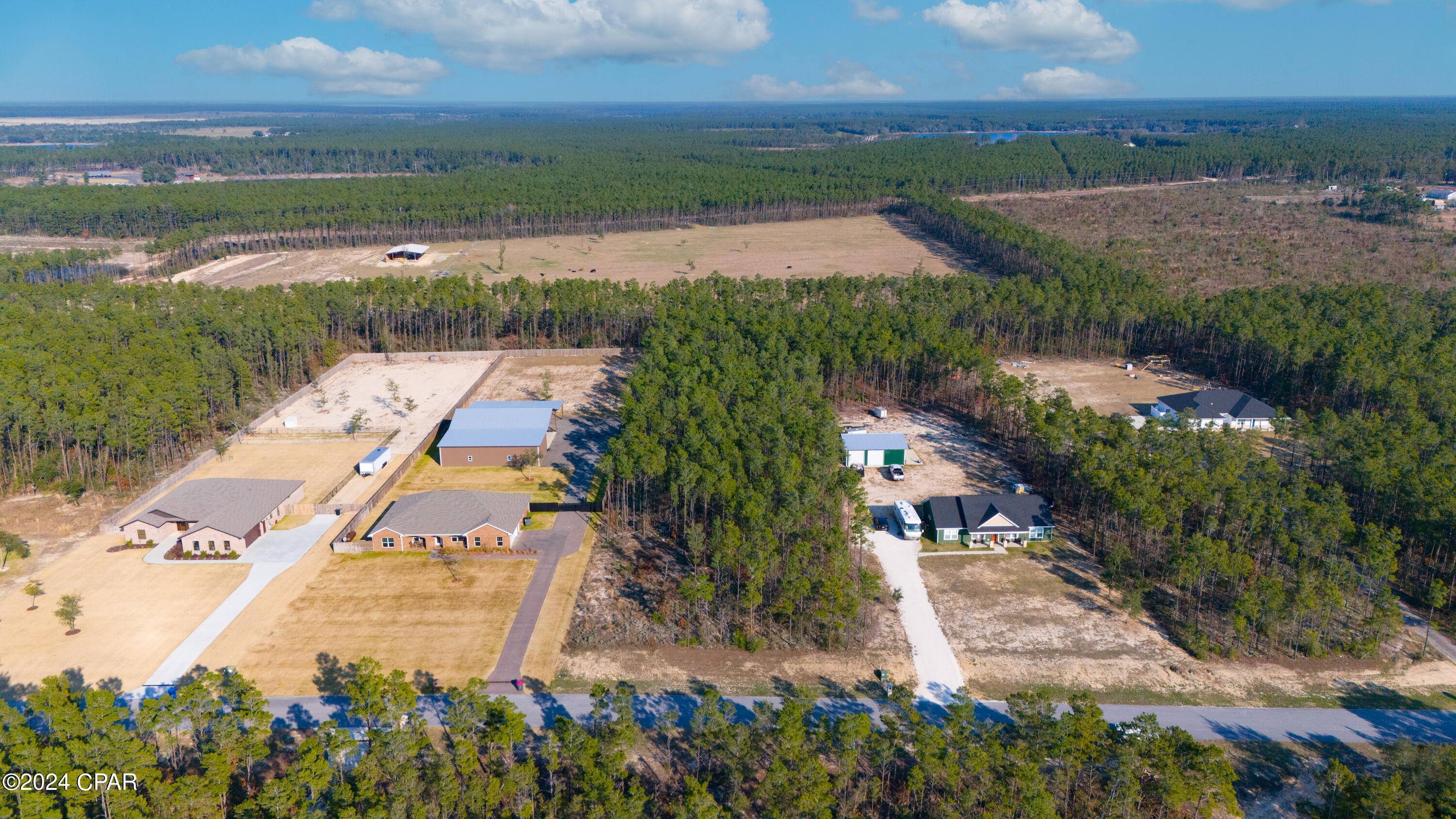 Bream Pond - Land