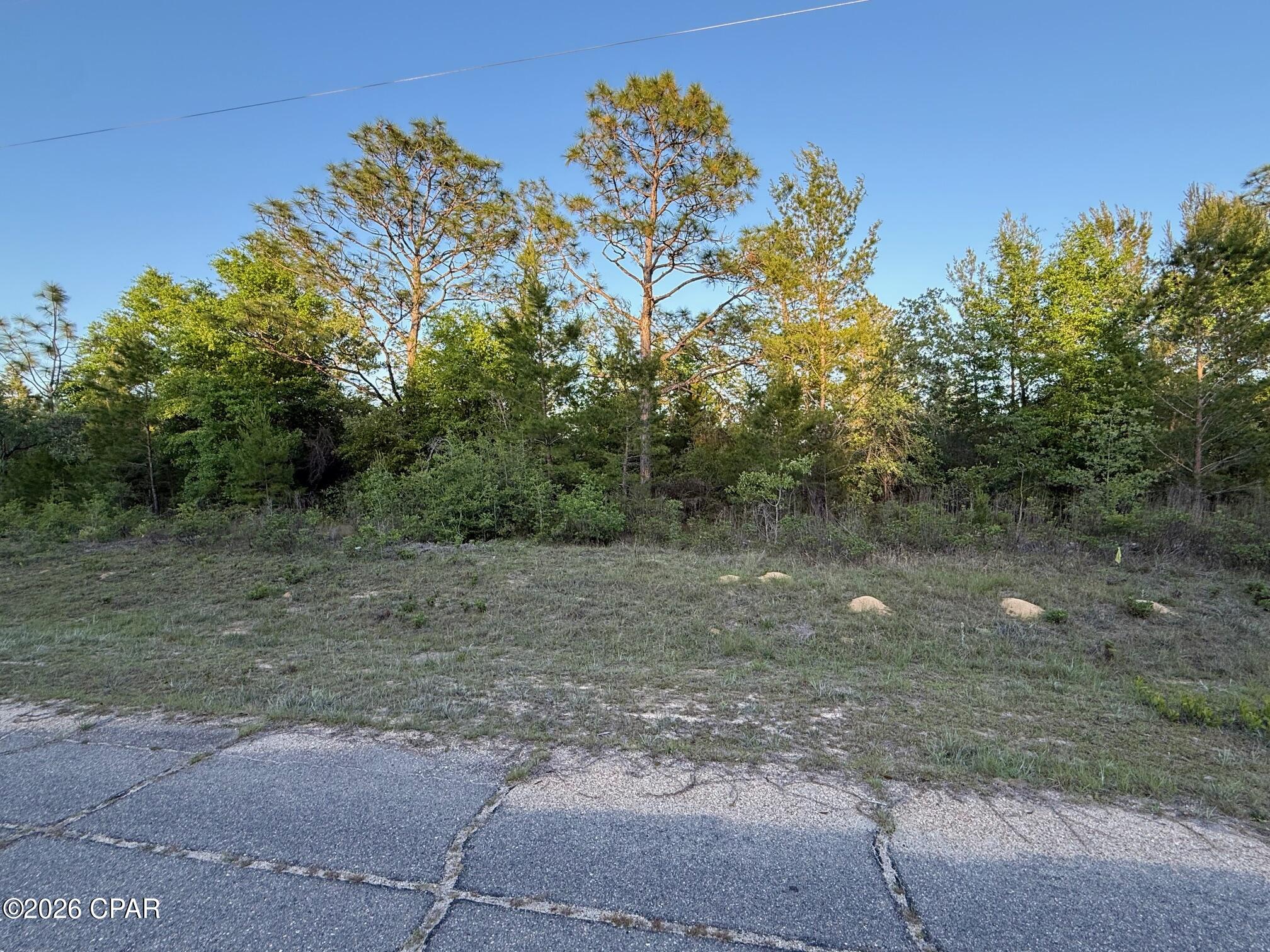 High and dry, flat 0.23 acre lot located in the peaceful, growing Sunny Hills community! This property offers a great opportunity to build your dream home or invest in an up-and-coming area. Sunny Hills features multiple lakes and ponds ideal for fishing, along with an 18-hole golf course. Located just 40 minutes from Panama City Beach and approximately 20 minutes from the airport