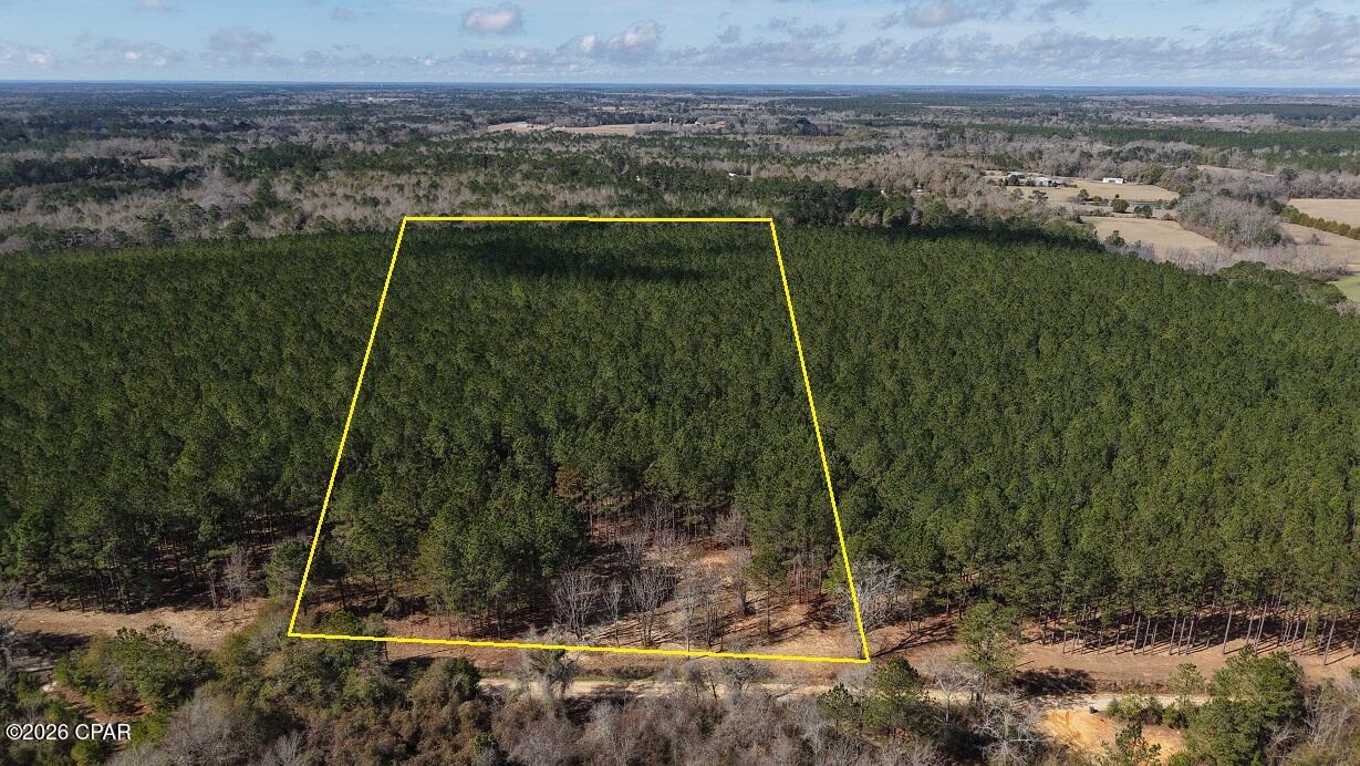 Are you looking for some nice rural land in which to build a new home, recreate, or perhaps establish a small business income?  Then look no further than this beautiful acreage set within a stand of mature pine timber. To the east side of the property you will find road frontage, accessible power, and the perfect location to build and greet the morning sun. As mentioned, the tract is filled with mature pine timber whose under carriage could also be cleared to support a consistent straw production business year after year. The wide strategically planted straight rows are perfect to maximize the harvest of a pine straw cash crop, of which the mature pine timber should certainly produce. And for those looking to hunt and recreate, the tract holds an abundance of wild game given its thick wooded cover that makes the perfect habitat for the area's wild inhabitants. Give us a call today, as this prime rural land shouldn't last long.