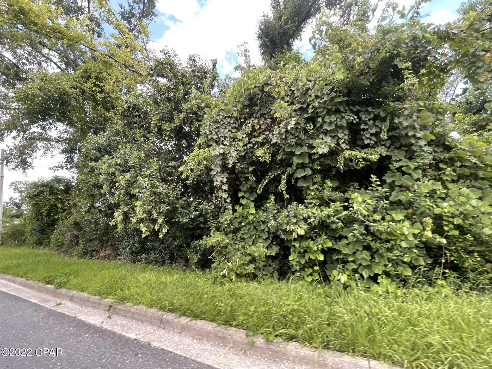 Great building lot!  This 0.5 acre lot is located in city limits of Marianna. This property would be a great home site.  Zoned Mixed Use.  It is in close proximity to Jackson Hospital, Chipola College and the convenience of downtown shopping and dining.