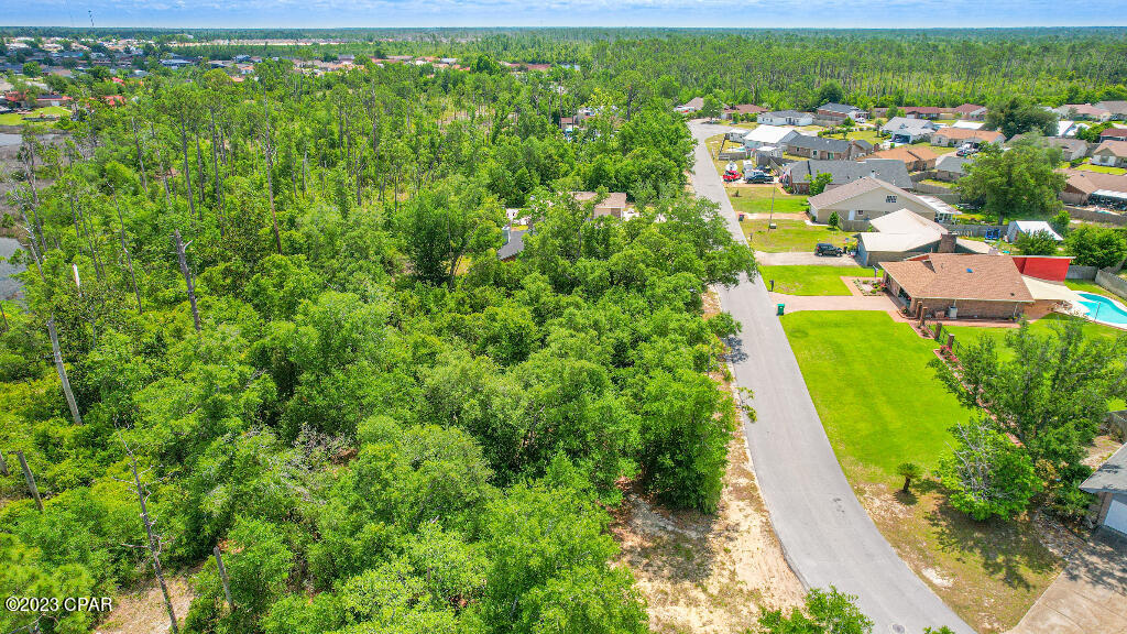 Callaway Forest - Land