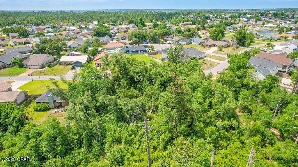 Callaway Forest - Land