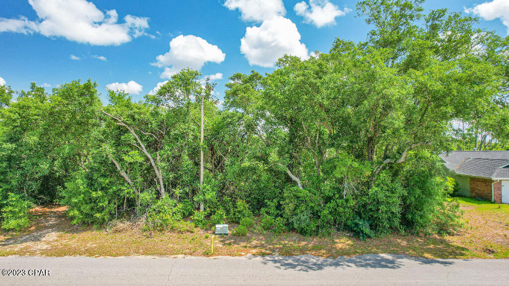 Callaway Forest - Land