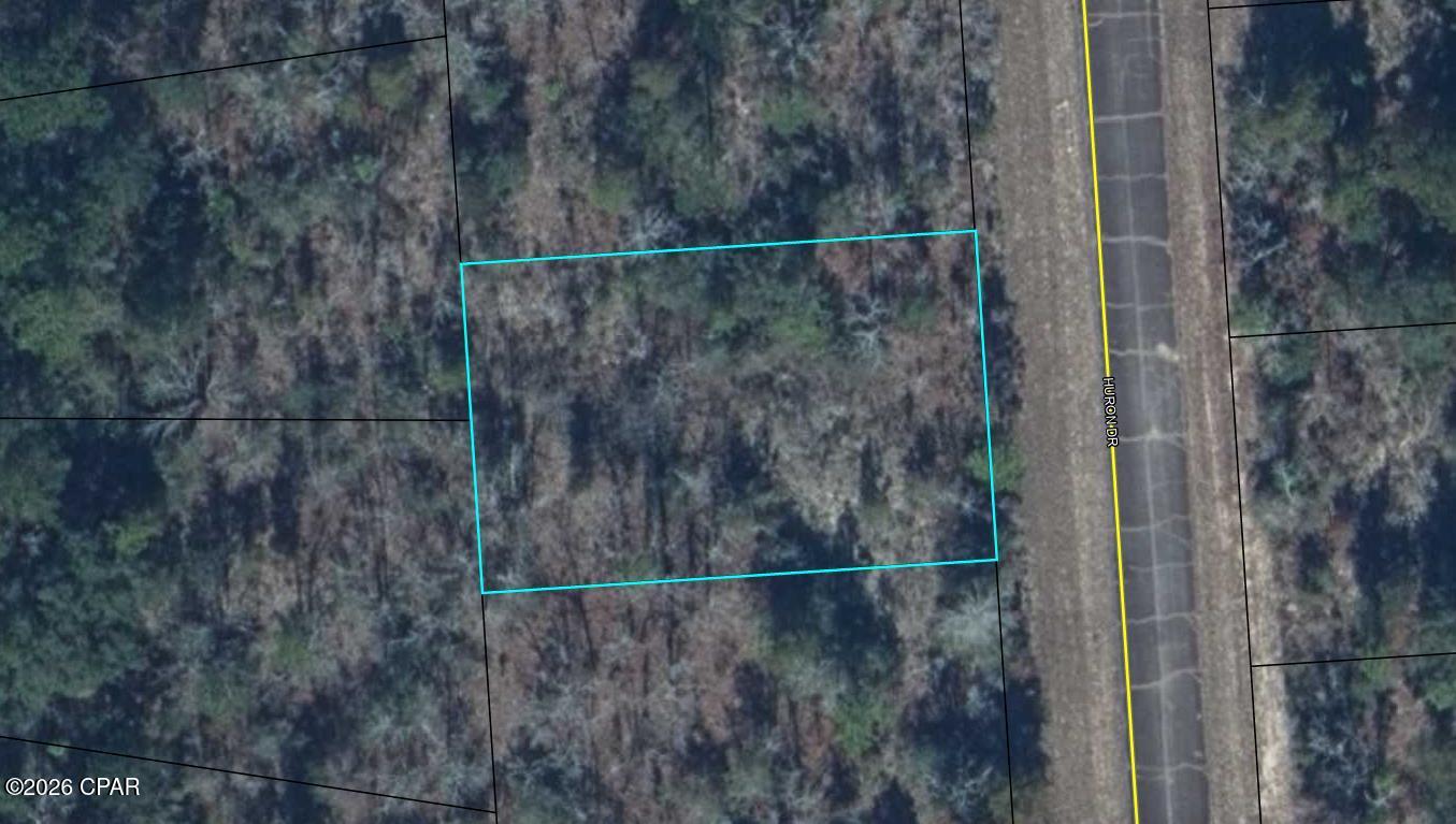 Good building lot in the growing Sunny Hills community. Located approximately 25 miles north of Panama City and 18 miles south of Chipley. Sunny Hills features a popular and affordable 18 hole public golf course. There are also numerous fine fishing lakes located in the community. This is a deed restricted (no mobile homes) community and no HOA. There are several national builders working this area to accommodate the growth pushing north out of Panama City. Great opportunity to invest in the future of the Florida Panhandle.