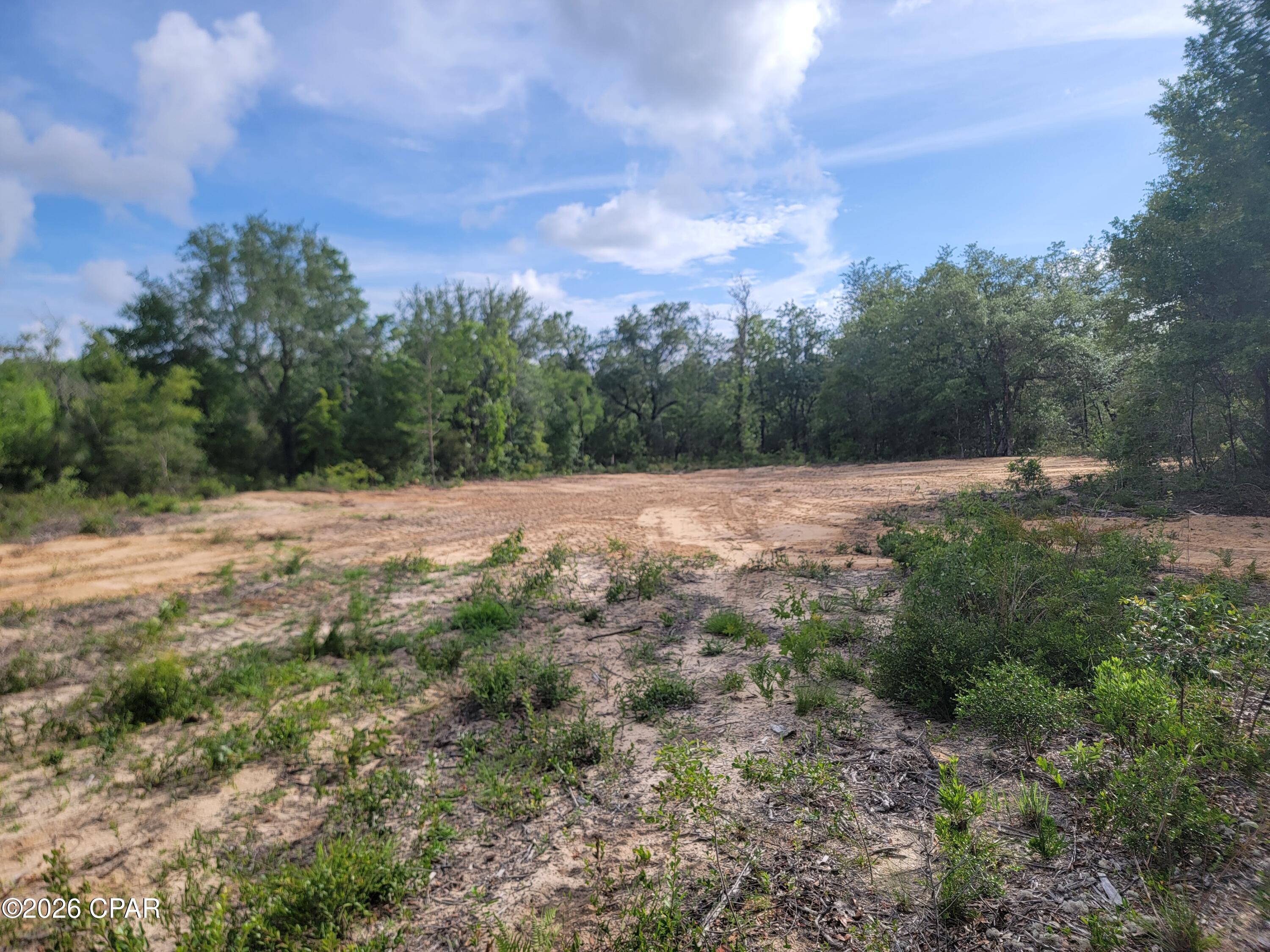 Cleared and ready to build Lot in Sunny Hills. This is an up and coming community which boast many lakes and trails and a nice, open to the public golf course. Well and septic are required in order to build, and WOULD NEED TO BE INSTALLED. Nice and quiet location in this growing community. This is a Deed Restricted community, so NO Mobile Homes. NO HOA FEES required !