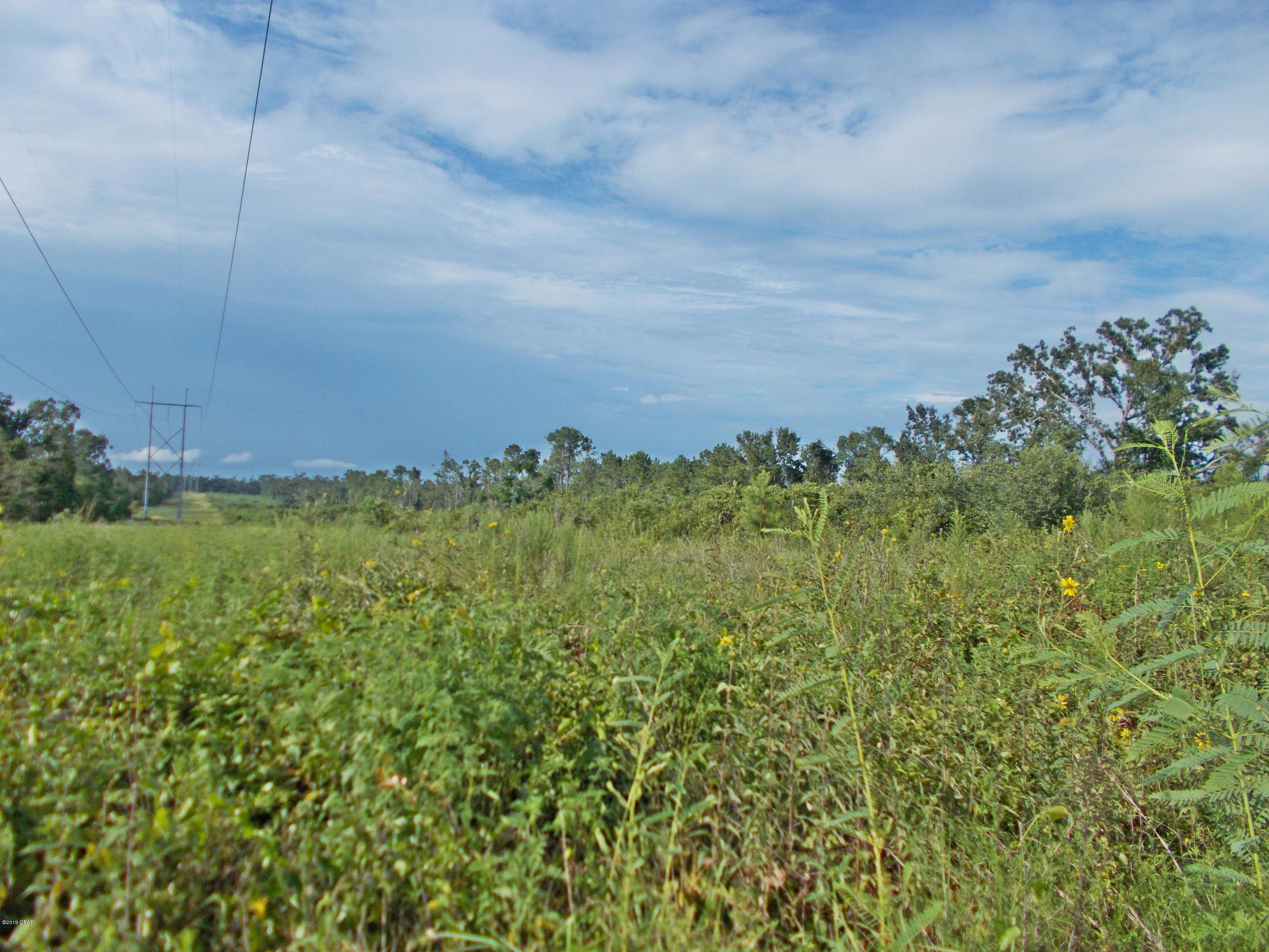 Very nice mostly cleared parcel of land for building or use it for farmland or pasture, seems to be high and dry, some nice trees on road way, also there is lots of road frontage.