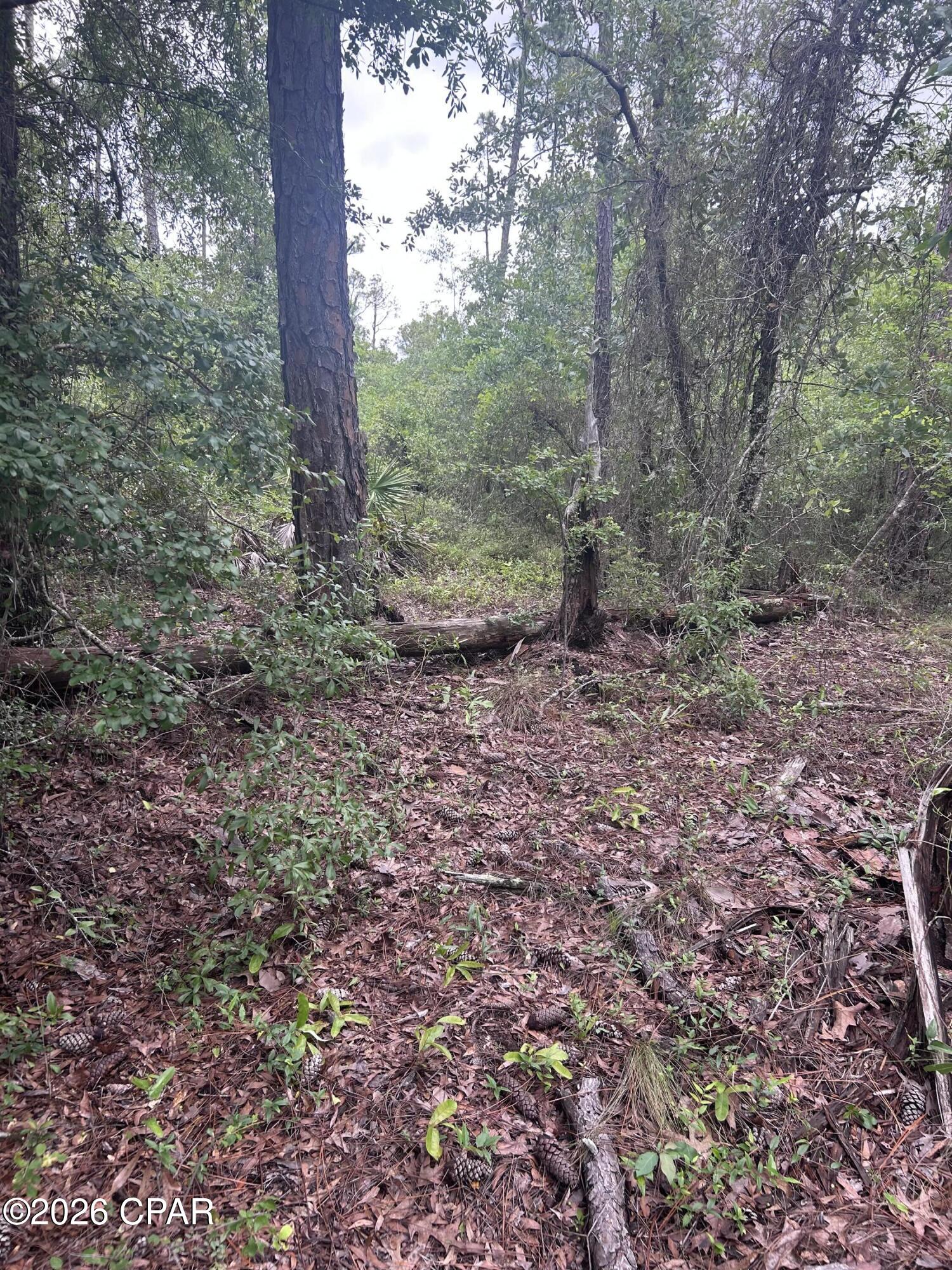 Compass Lake Hills Unit 5 - Land