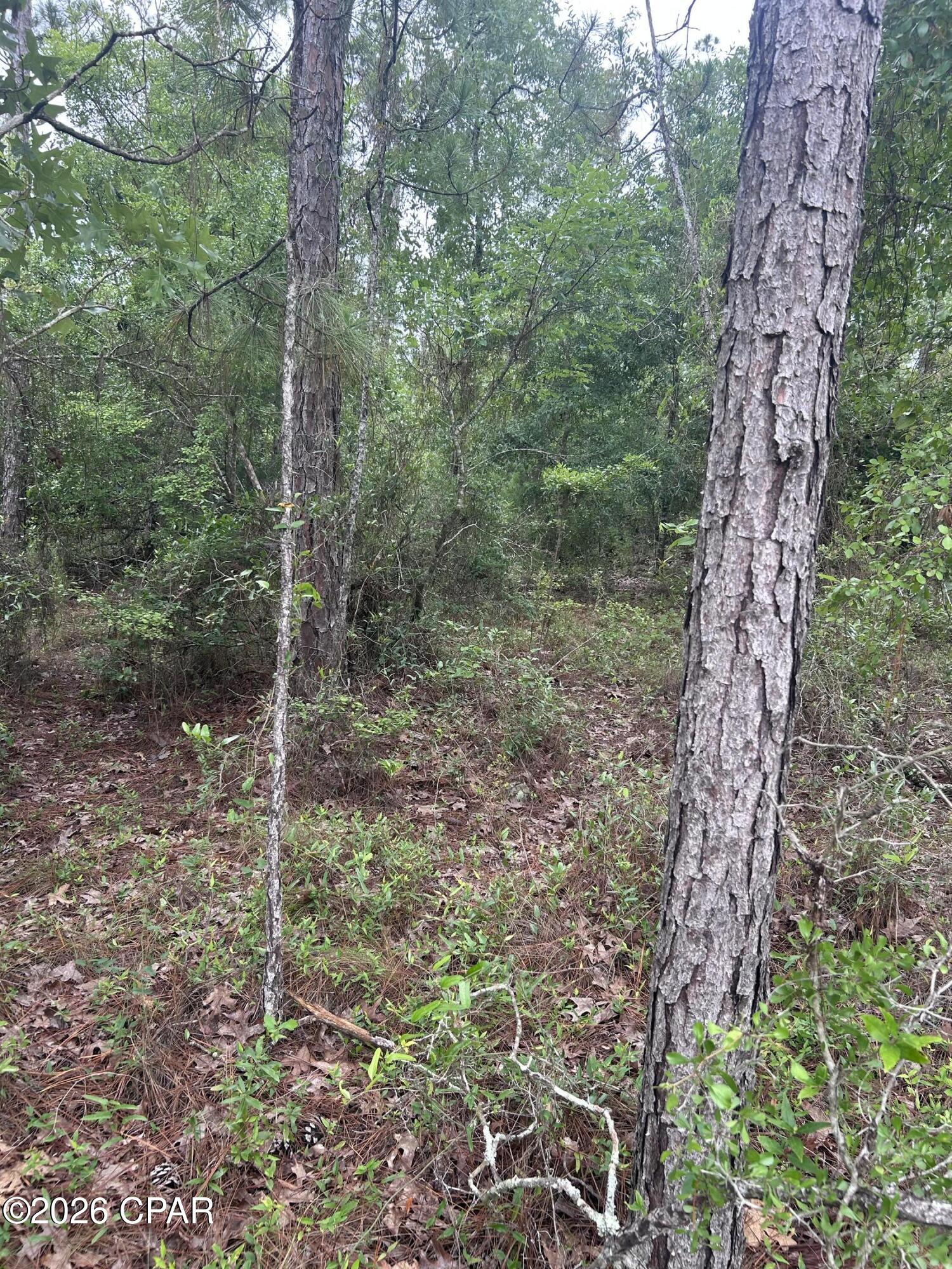 Compass Lake Hills Unit 5 - Land