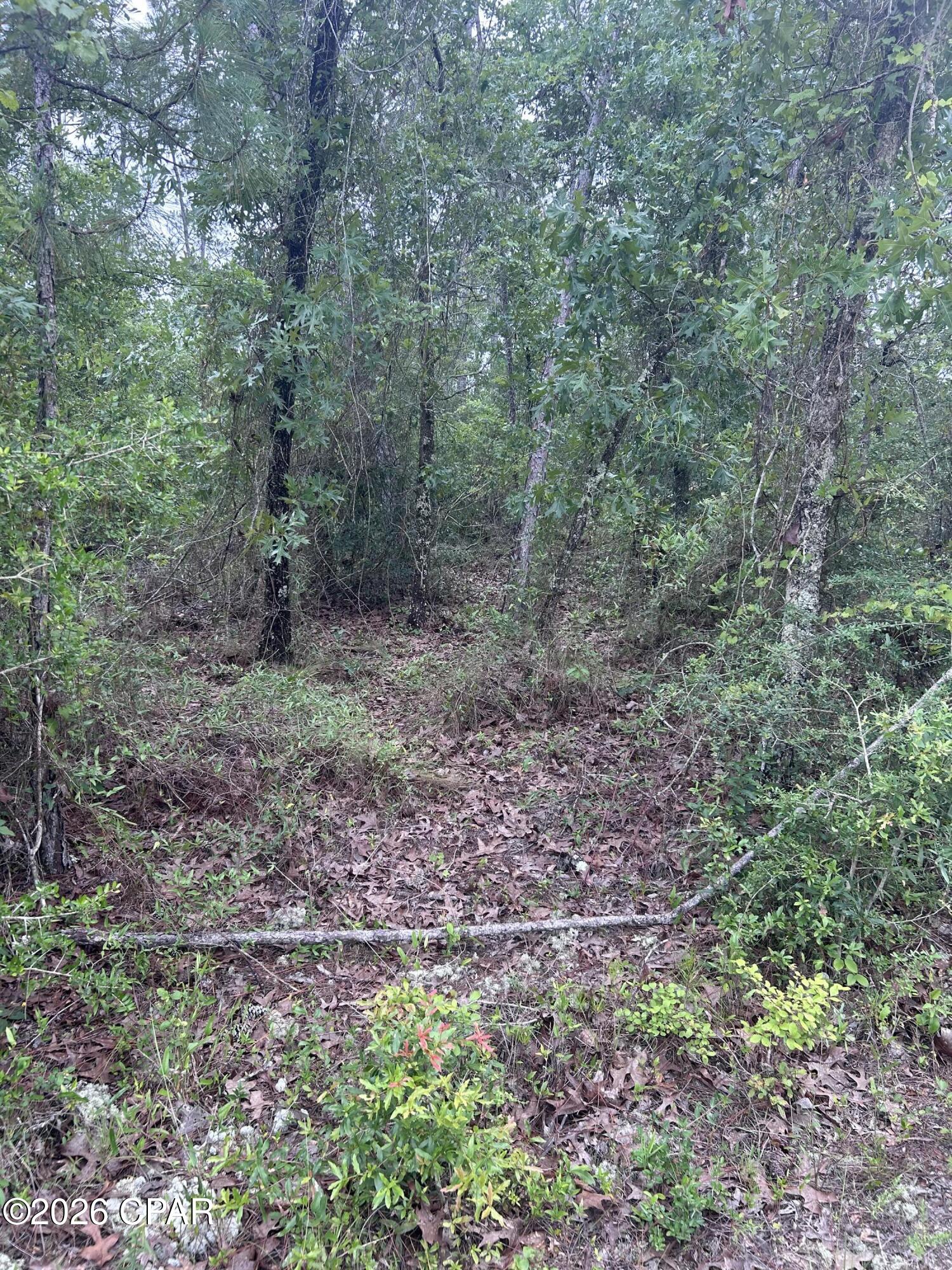 Compass Lake Hills Unit 5 - Land