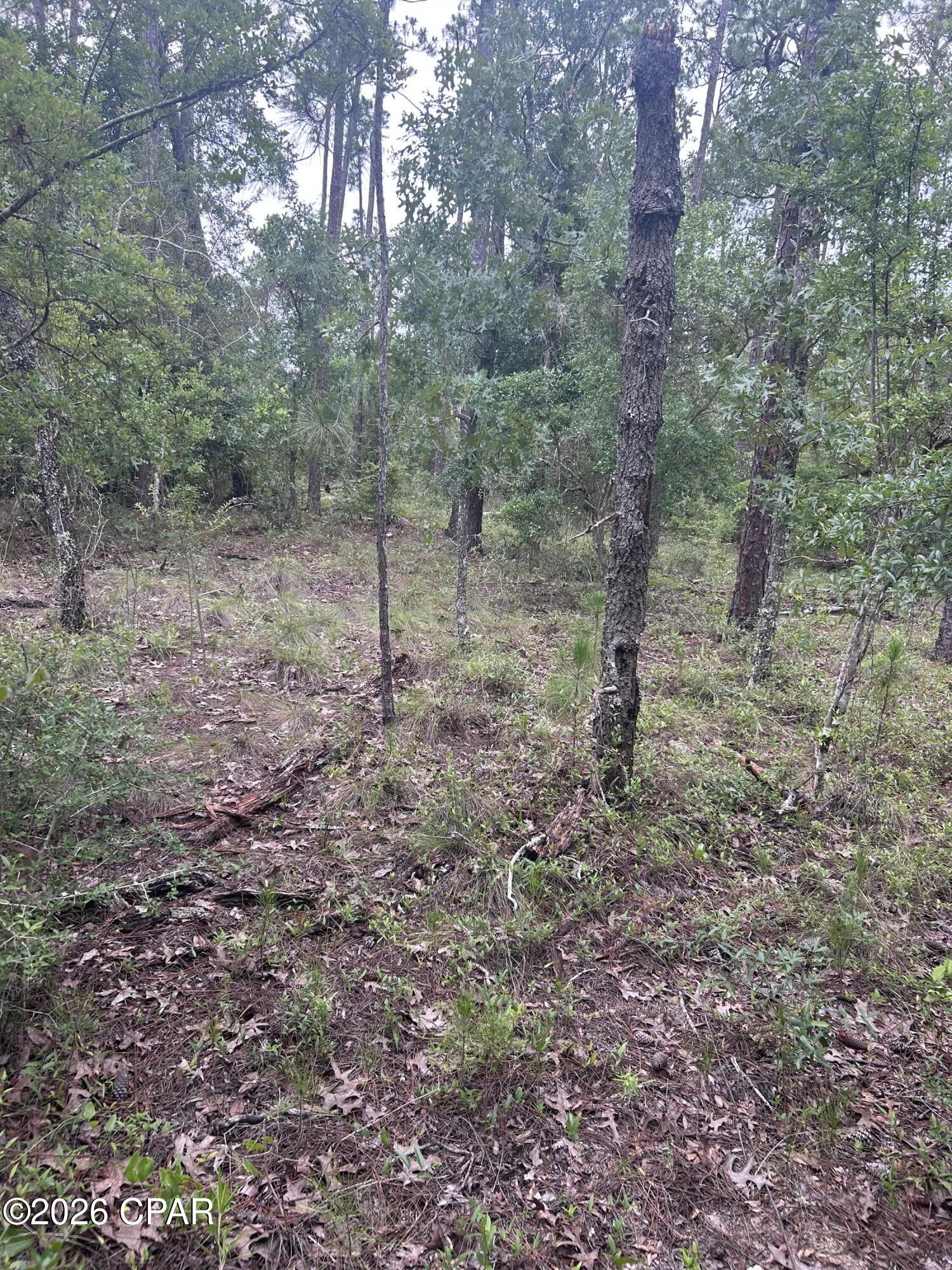 Compass Lake Hills Unit 5 - Land