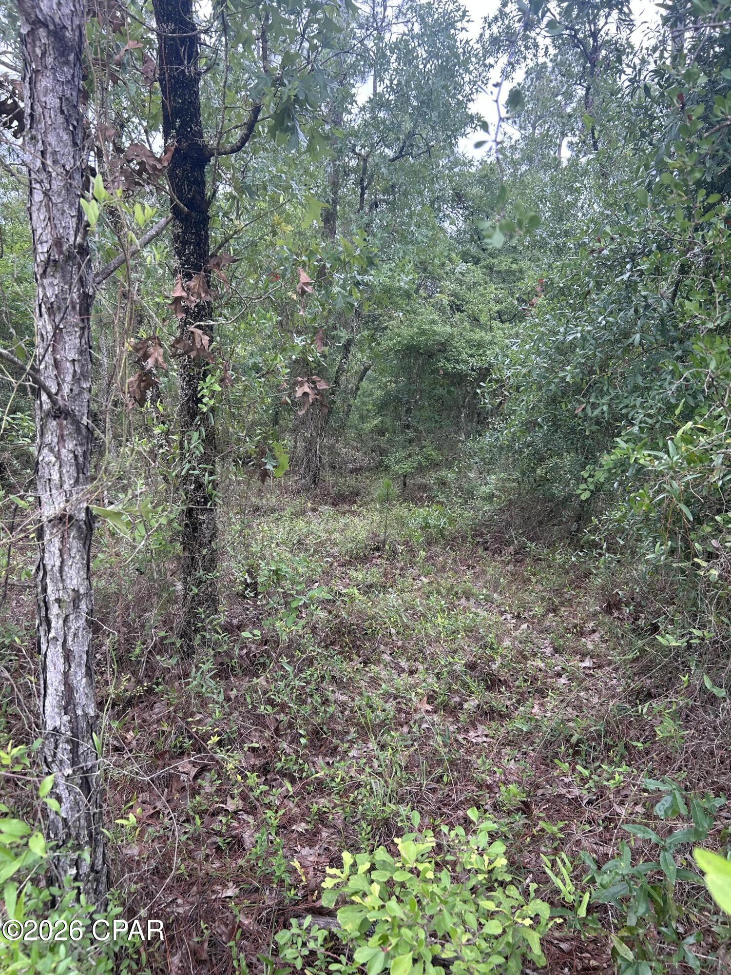 Compass Lake Hills Unit 5 - Land