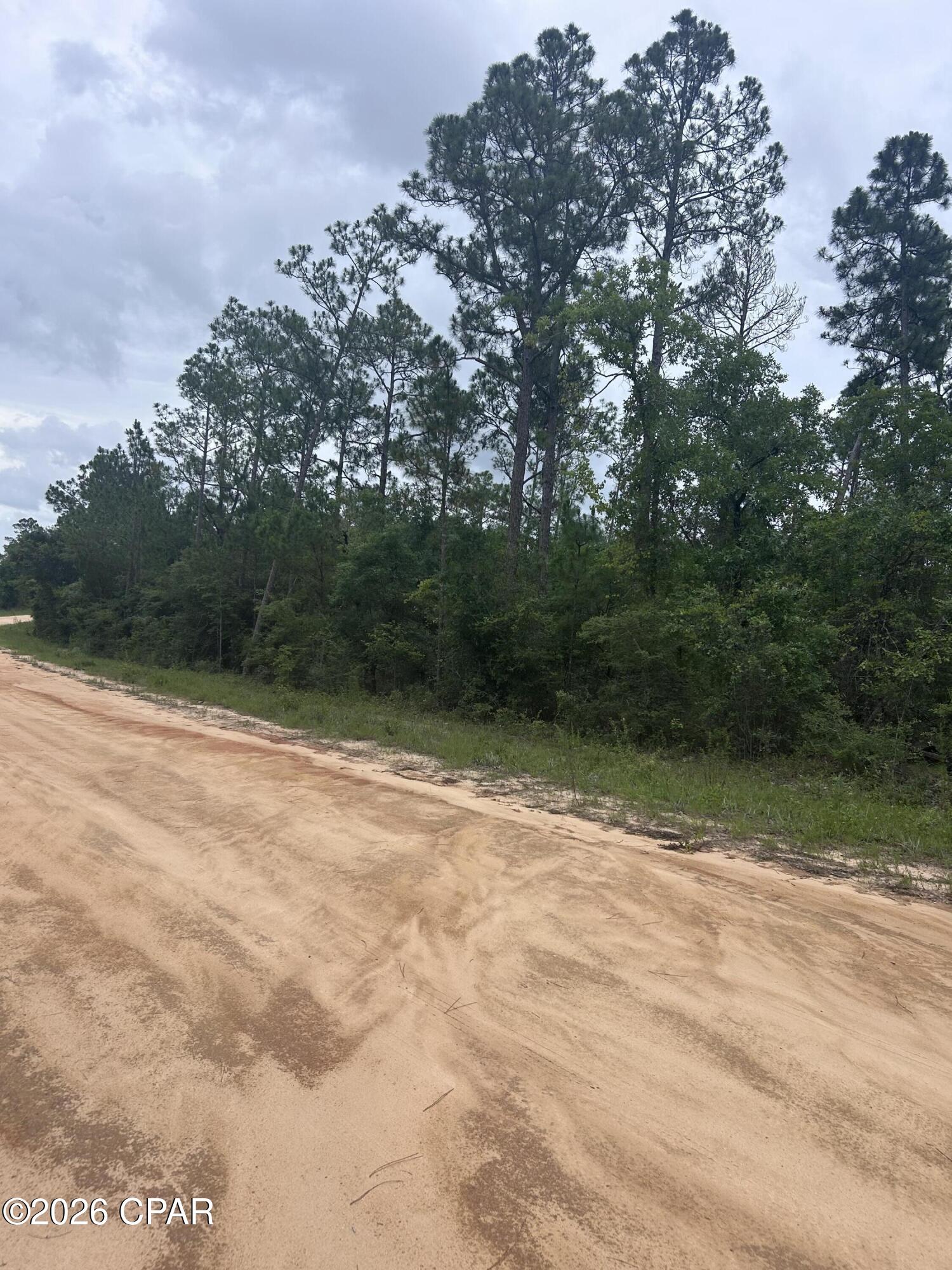 Build your dream home on this pristine 1± acre homesite nestled in the rolling hills of Compass Lake. Situated high and dry, this beautiful lot offers elevated views overlooking scenic McCormick Lake, providing a peaceful and picturesque setting. With plenty of space for a custom home and outdoor living, this property combines natural beauty, privacy, and potential. Whether you're looking to build a full-time residence or a relaxing getaway, this exceptional lot is ready to bring your vision to life.