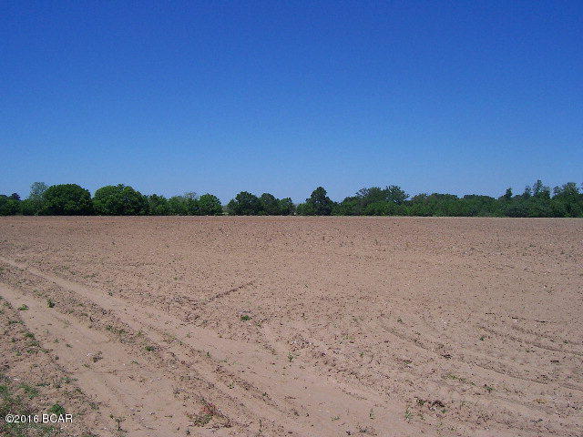 This 36 MOL acres has it all. Water frontage - 32 acres of Farm Land - 4 acres of pines/woods - 950 feet of road frontage!! Located only 3.5 miles from the Interstate and only 8 miles from the Wal-Mart exit in Marianna on HWY 71. Yet far enough away to certainly feel like country. Perfect for planting peanuts, cotton or pasture land. Comes with a 50' access to the beautiful Strickland Lake where fishing for bass, bream and shell cracker is prevalent. Owner/Broker - Won't last long!!