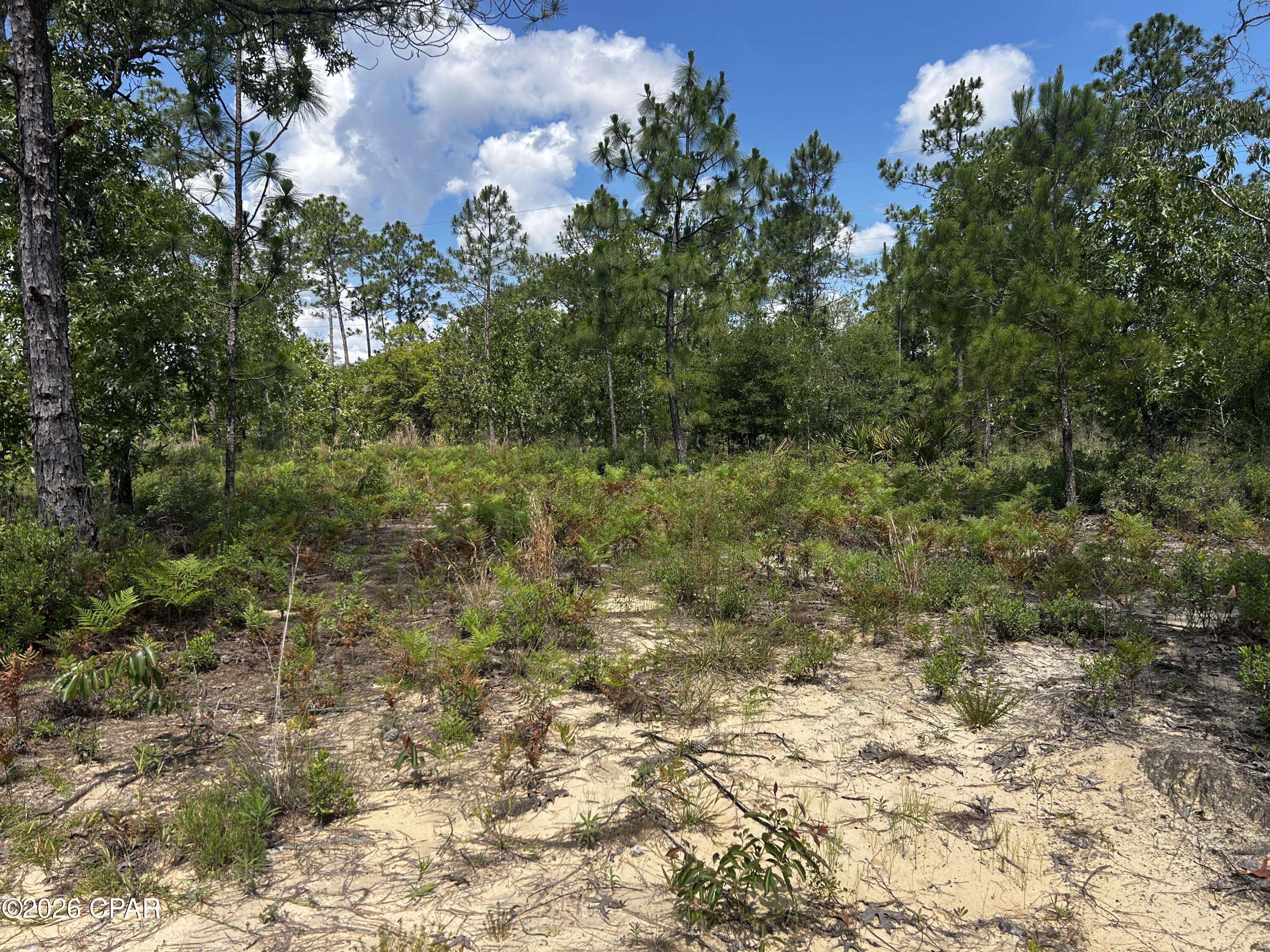 Compass Lake - Land