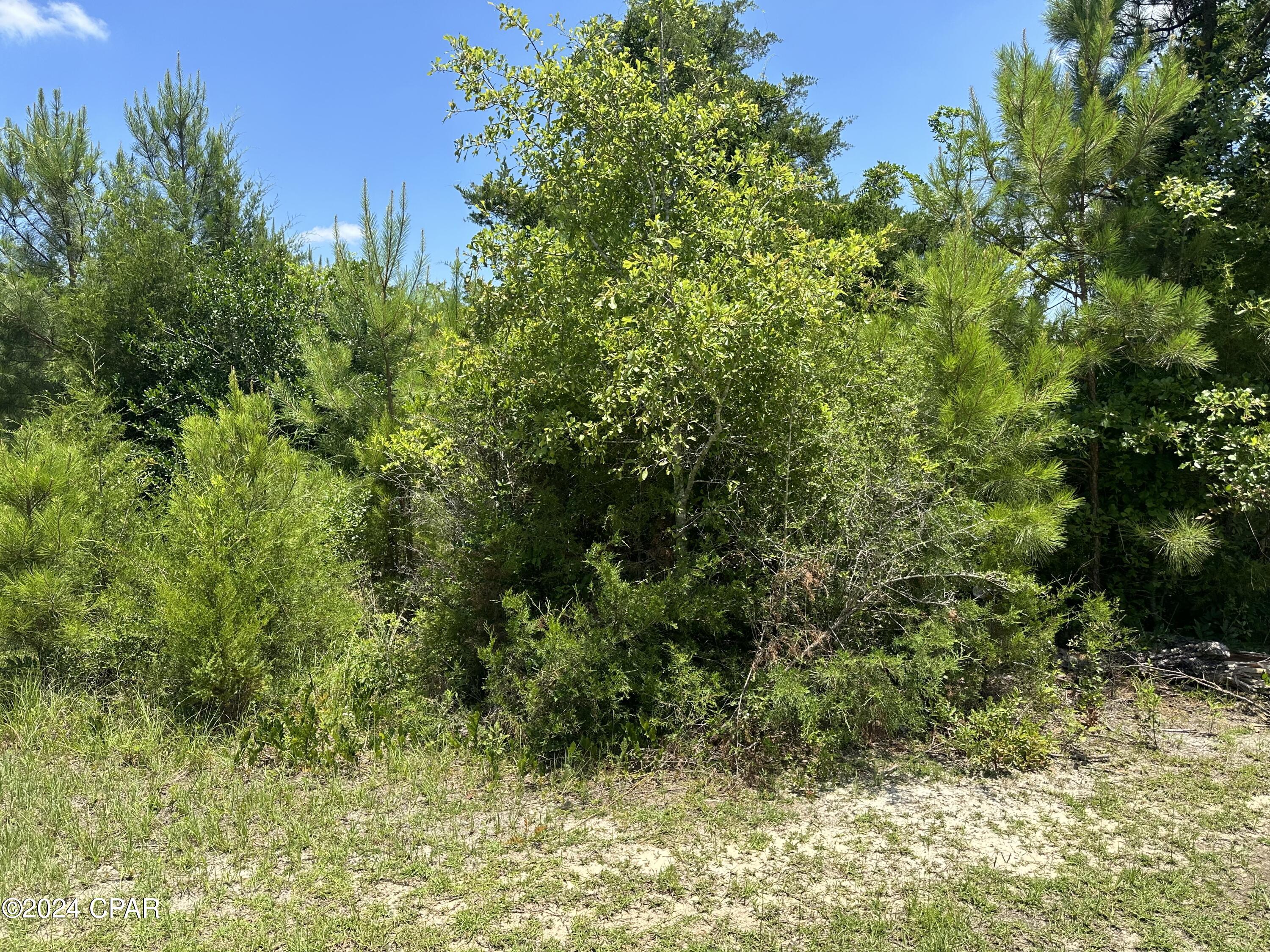 Willow Pond - Residential